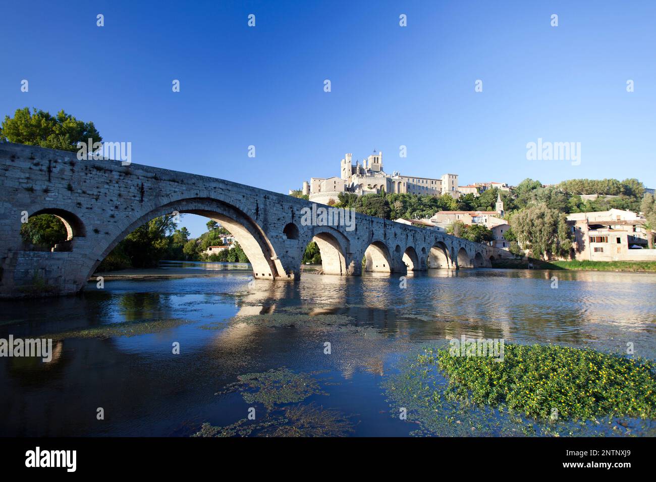 Frankreich, Beziers, die alte Steinbrücke (Pont Vieux) über den Fluss Orb und die St. Nazaire Kathedrale. Stockfoto