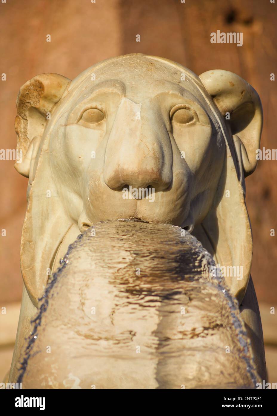 Kopf des marmornen ägyptischen Löwen vom zentralen Brunnen Piazza del Popolo, errichtet im Jahr 1823, einem der wichtigsten und antiken Plätze in Rom Stockfoto