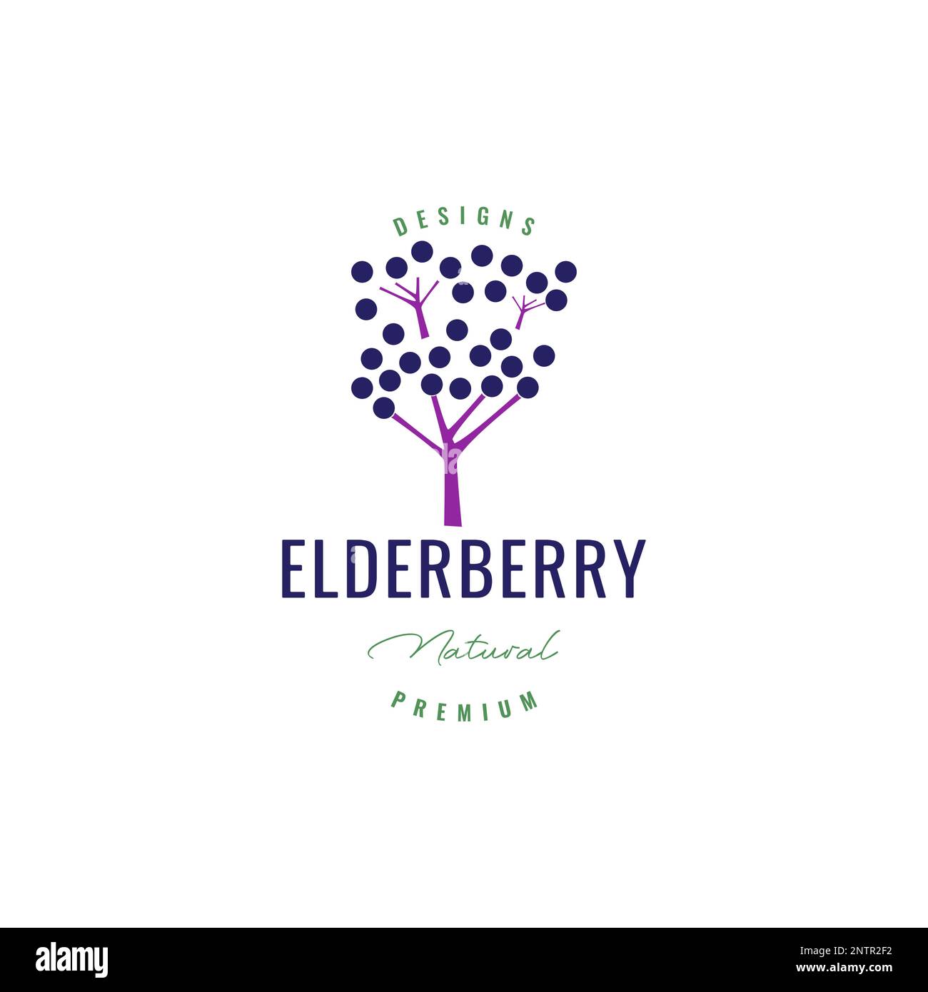Kleine Frucht violette Holunderpflanze frische Natur Ackerland Medizin schmecken minimalistisches Logo Design Vektorsymbol Illustration Stock Vektor