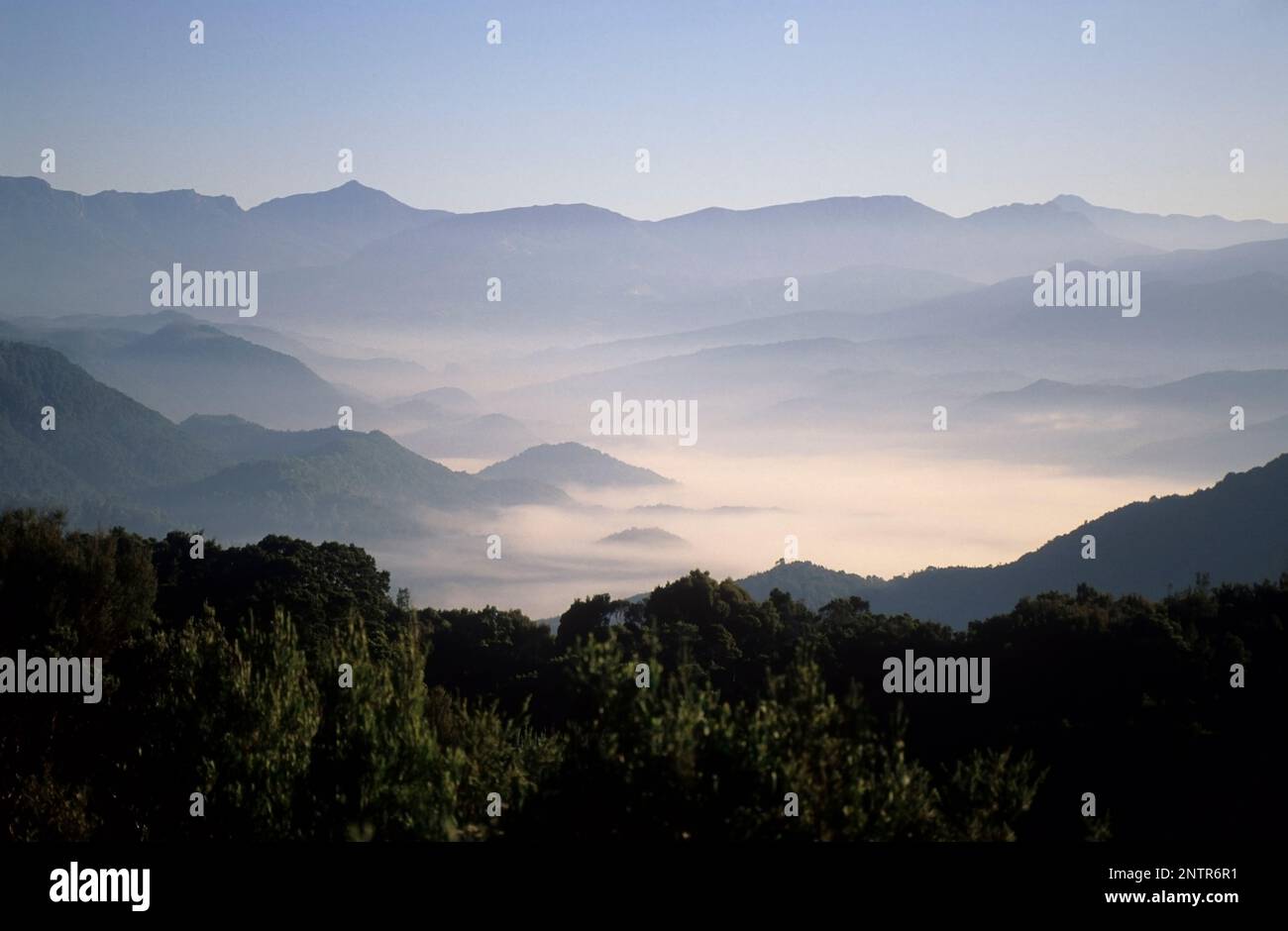 Australien, Tasmanien, Franklin-Gordon Wild Rivers NP und Weltkulturerbe-Region, Blick über den Park im frühen Morgenlicht und Nebel der Rinadee Stockfoto