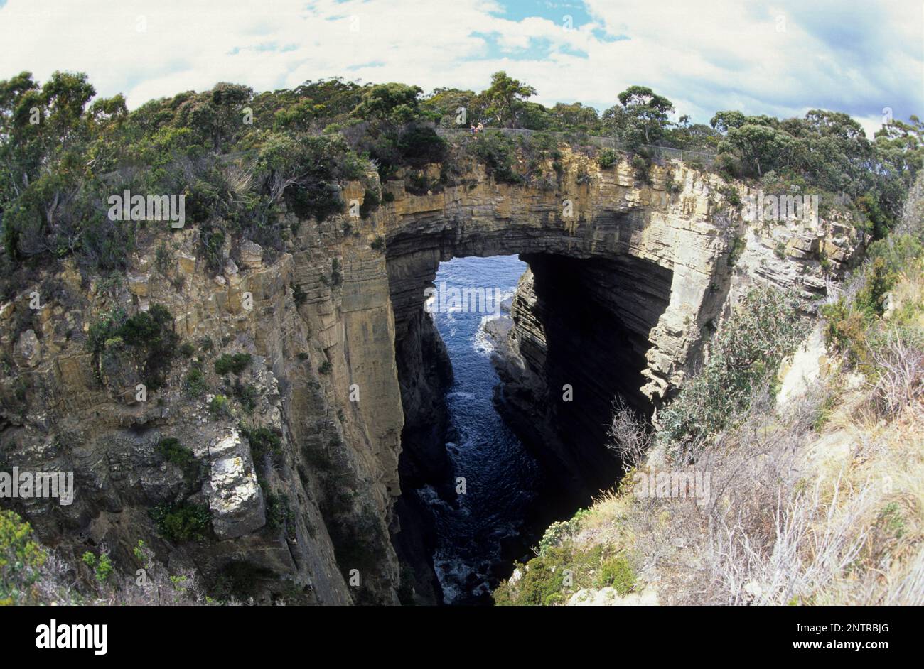Australien, Tasmanien, die Tasman-Halbinsel, der Tasman-Arch, eines der geografischen Merkmale entlang dieser erodierten Sandsteinküste. Stockfoto