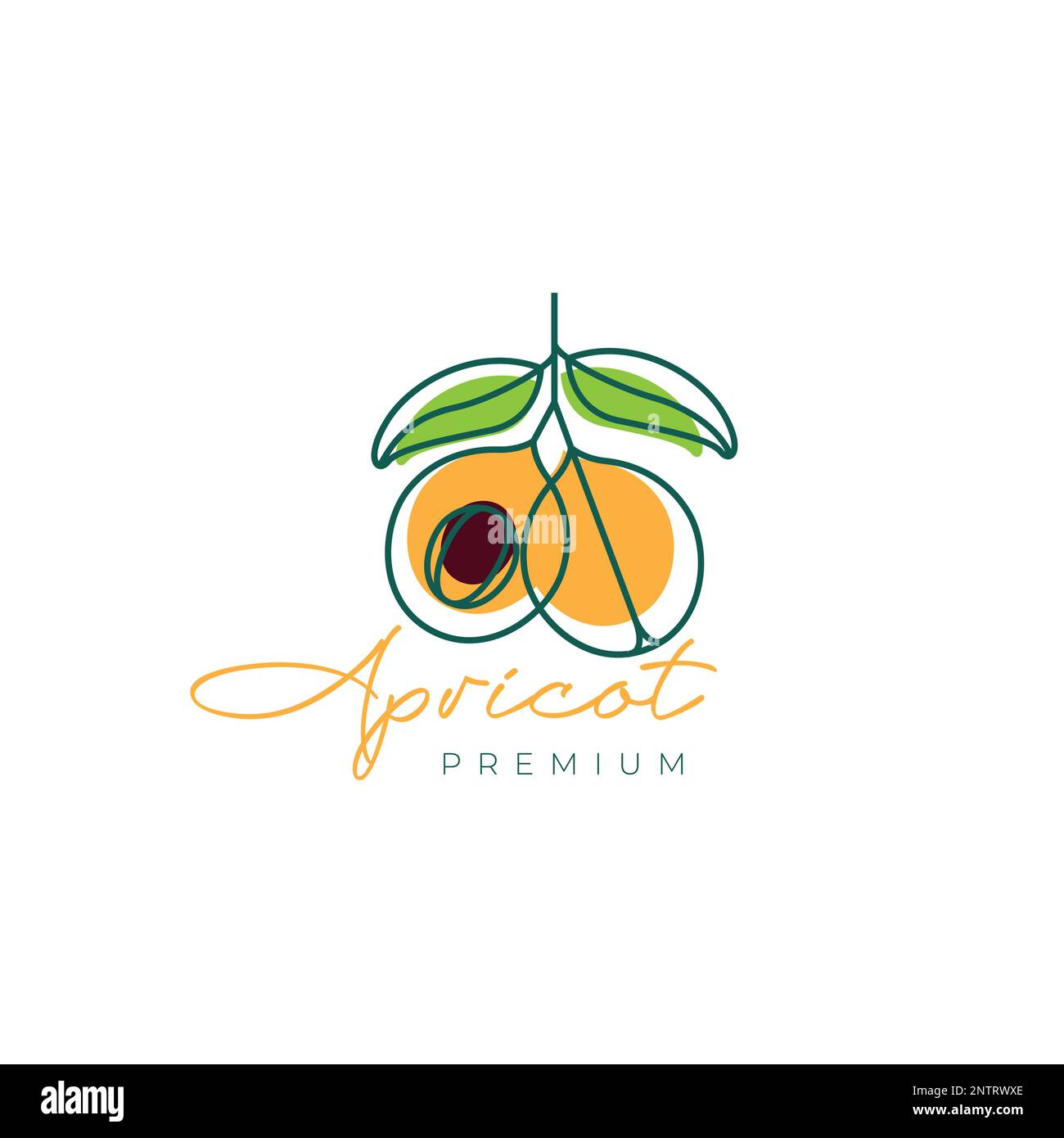 Frische Früchte, süße Aprikosen, Linien, abstraktes minimalistisches Logo, Vektorsymbol Stock Vektor