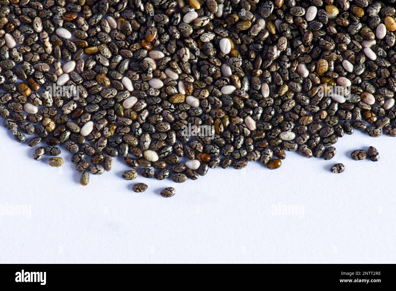 Chia setzt ein gesundes Superfood voll Omega 3 Nahaufnahme Makro auf weißem Hintergrund Kopierbereich Stockfoto