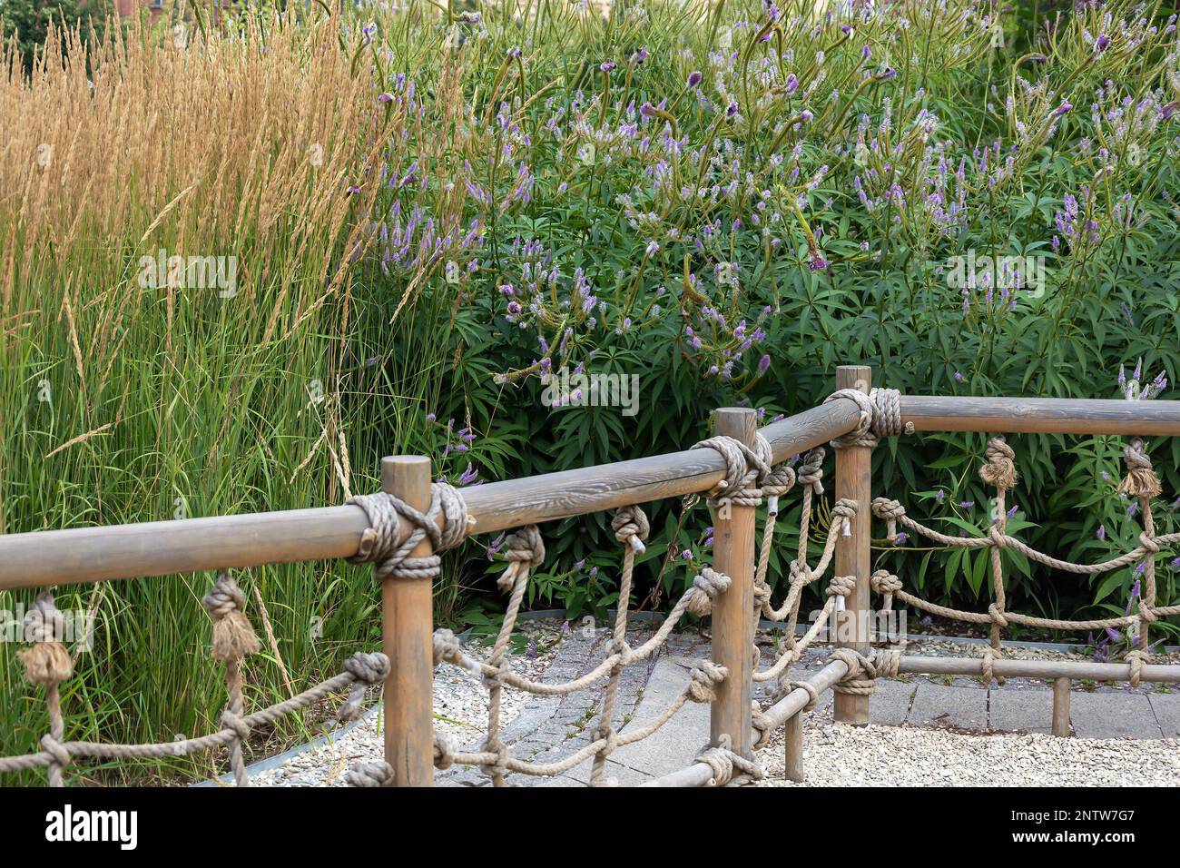Dekorative Zäune in der Nähe von modischen Ziergräsern in einem gepflegten Garten Stockfoto
