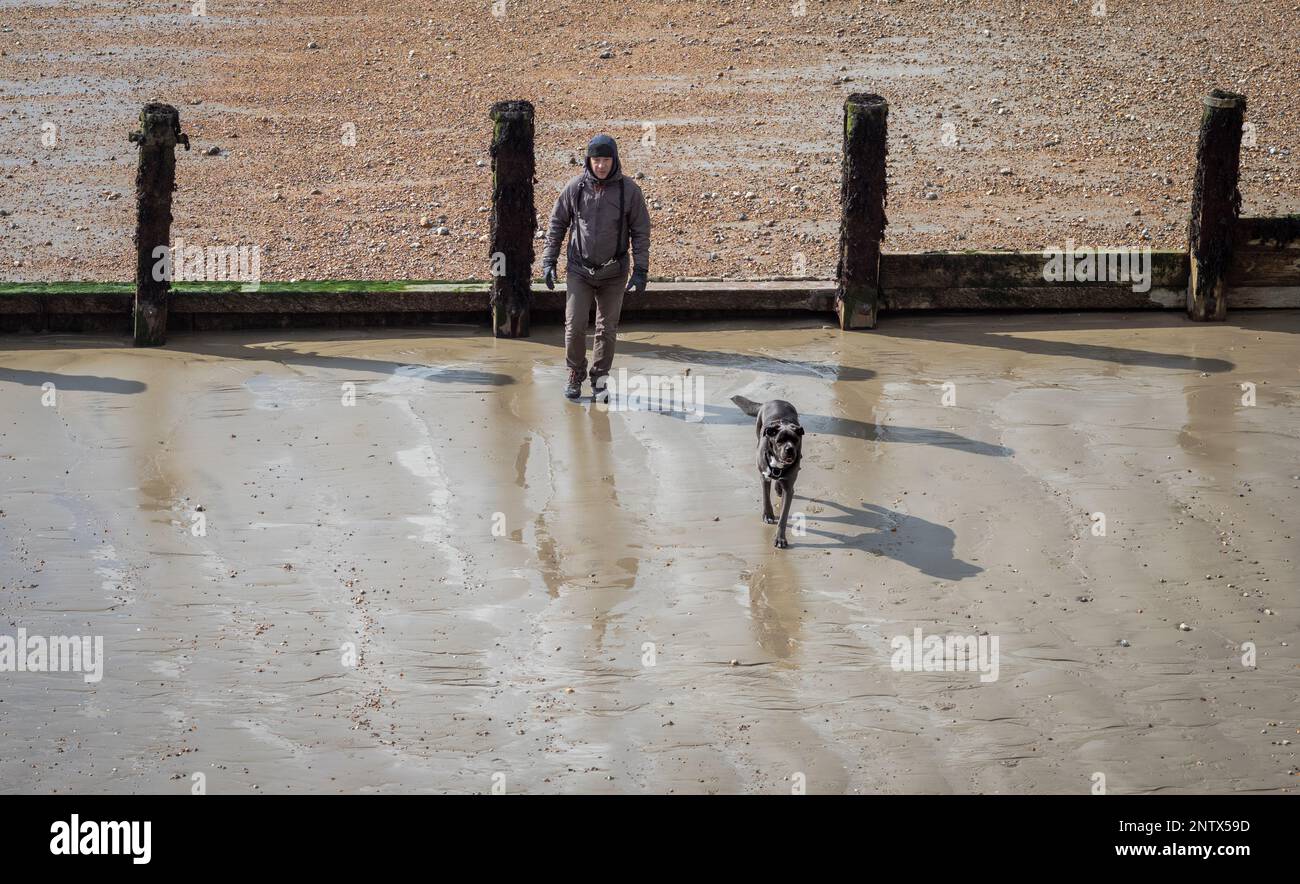 Ein Mann geht im Winter mit seinem Hund am Strand von Bognor Regis, West Sussex, Großbritannien, spazieren Stockfoto