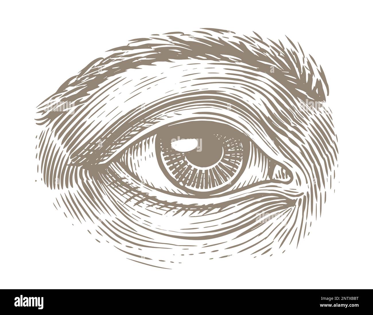 Menschliches Auge mit Gravur. Handgezeichnete Skizzenvektordarstellung Stock Vektor