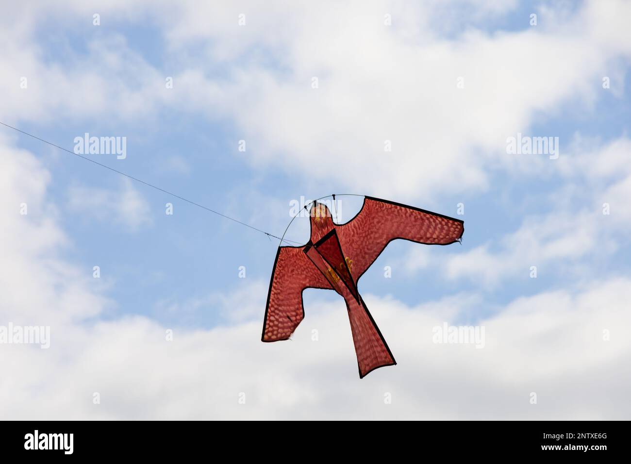 Vogelschrecken-Drachen-Bild eines Falken. Er fliegt gegen den wolkigen blauen Himmel. Stockfoto