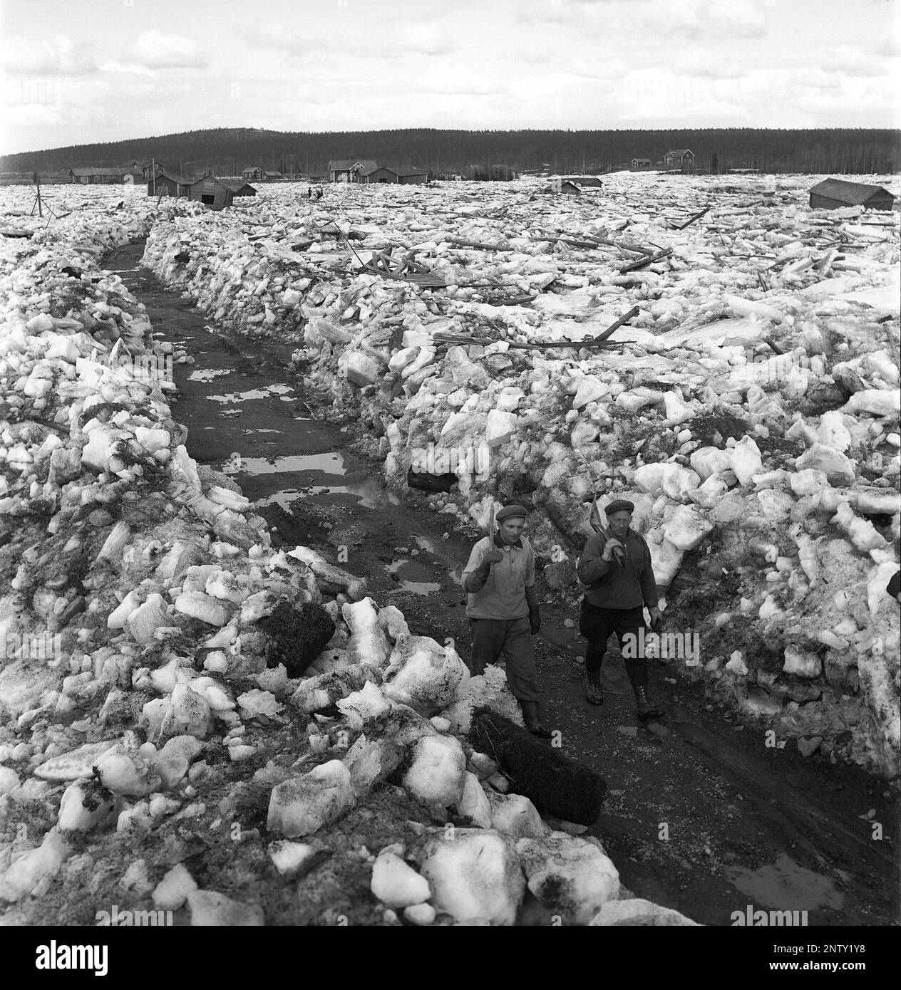 Naturkatastrophe in den 1940er Jahren. Im Frühsommer, den 20-23. Mai 1944, überflutete das Wasser im Fluss Torne älv aufgrund einer Eismasse, die das Wasser 3,5 Meter höher als normal dämpfte. Die Konsequenzen waren schwerwiegend. Auf dem umliegenden Gelände wurden Meter Eis zurückgelassen, als das Wasser ablief und die Bauernhäuser und die Felder zerstörte. Die Hauptstraße, die gerade von der Eisdecke entfernt wurde, ist kaum sichtbar und Abschleppwagen mit Schaufeln laufen in Richtung des Fotografen in der Nähe des Dorfes Korpikylä in der Nähe von Skogskärr Kristoffersson Ref. H123-6 Stockfoto