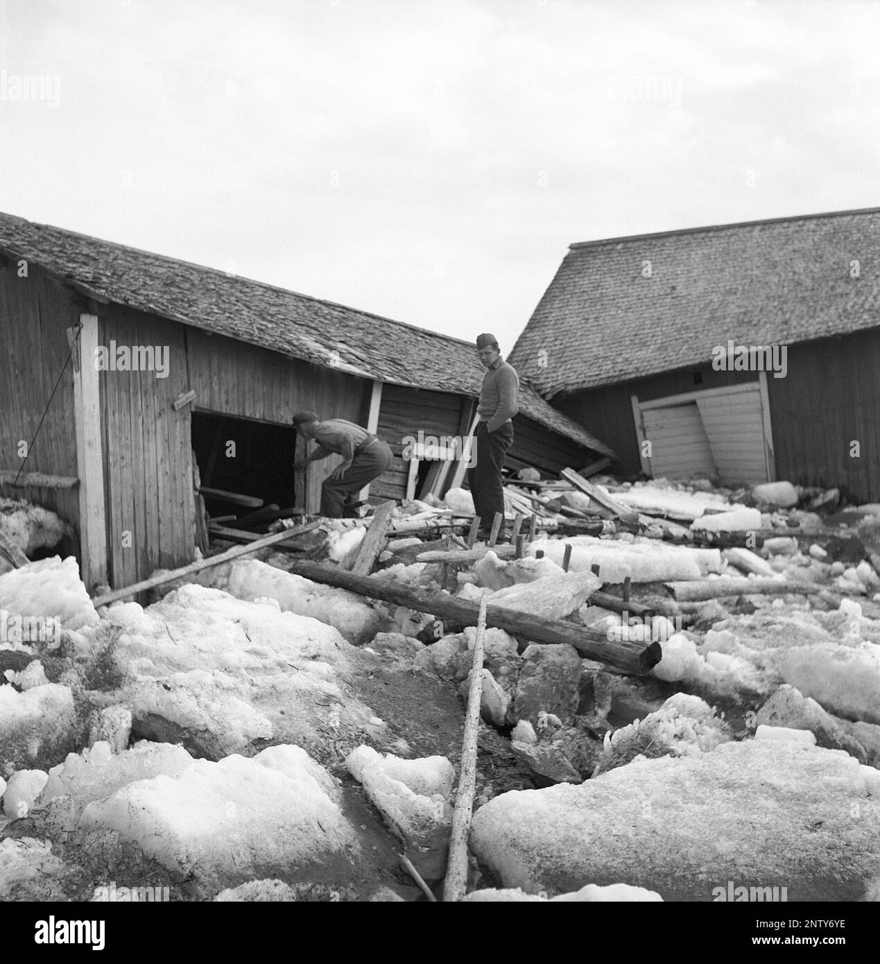 Naturkatastrophe in den 1940er Jahren. Im Frühsommer, den 20-23. Mai 1944, überflutete das Wasser im Fluss Torne älv aufgrund einer Eismasse, die das Wasser 3,5 Meter höher als normal dämpfte. Die Konsequenzen waren schwerwiegend. Auf dem umliegenden Gelände wurden Meter Eis zurückgelassen, als das Wasser ablief und die Bauernhäuser und die Felder zerstörte. Das Dorf Korpikylä in der Nähe von Skogskärr und ein Blick auf zerstörte Bauernhäuser und die Eisschlösser, die den Hof mit Trümmern bedecken. Die Besitzer untersuchen die Schäden. Kristoffersson Ref. H116-2 Stockfoto