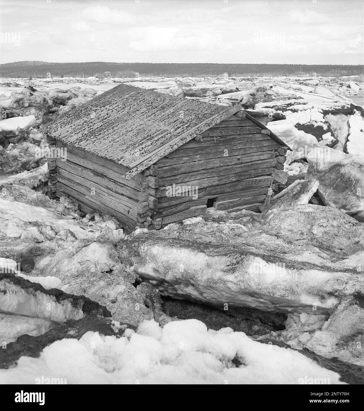 Naturkatastrophe in den 1940er Jahren. Im Frühsommer, den 20-23. Mai 1944, überflutete das Wasser im Fluss Torne älv aufgrund einer Eismasse, die das Wasser 3,5 Meter höher als normal dämpfte. Die Konsequenzen waren schwerwiegend. Auf dem umliegenden Gelände wurden Meter Eis zurückgelassen, als das Wasser ablief und die Bauernhäuser und die Felder zerstörte. Das Dorf Korpikylä in der Nähe von Skogskärr und ein Blick auf ein Fachwerkhaus, das durch das Eis weit entfernt von seinem ursprünglichen Standort bewegt wurde. Kristoffersson Ref. H118-3 Stockfoto
