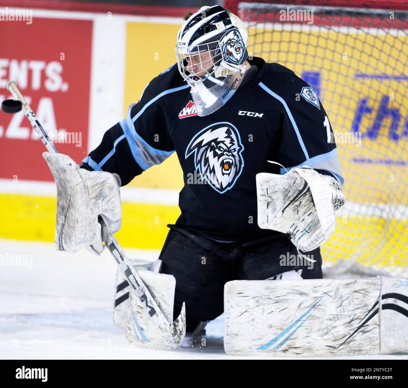 WHL (Western Hockey League) profile photo on Kootenay Ice goalie Jesse Makaj during a game against the Calgary Hitmen in Calgary, Ab. on Sunday, Jan. 27, 2019. (Larry MacDougal via AP) Stockfoto