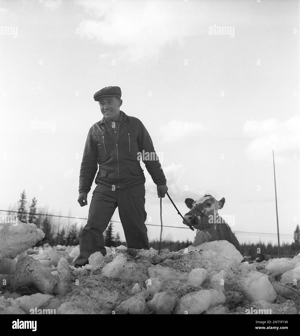 Naturkatastrophe in den 1940er Jahren. Im Frühsommer, den 2023. Mai