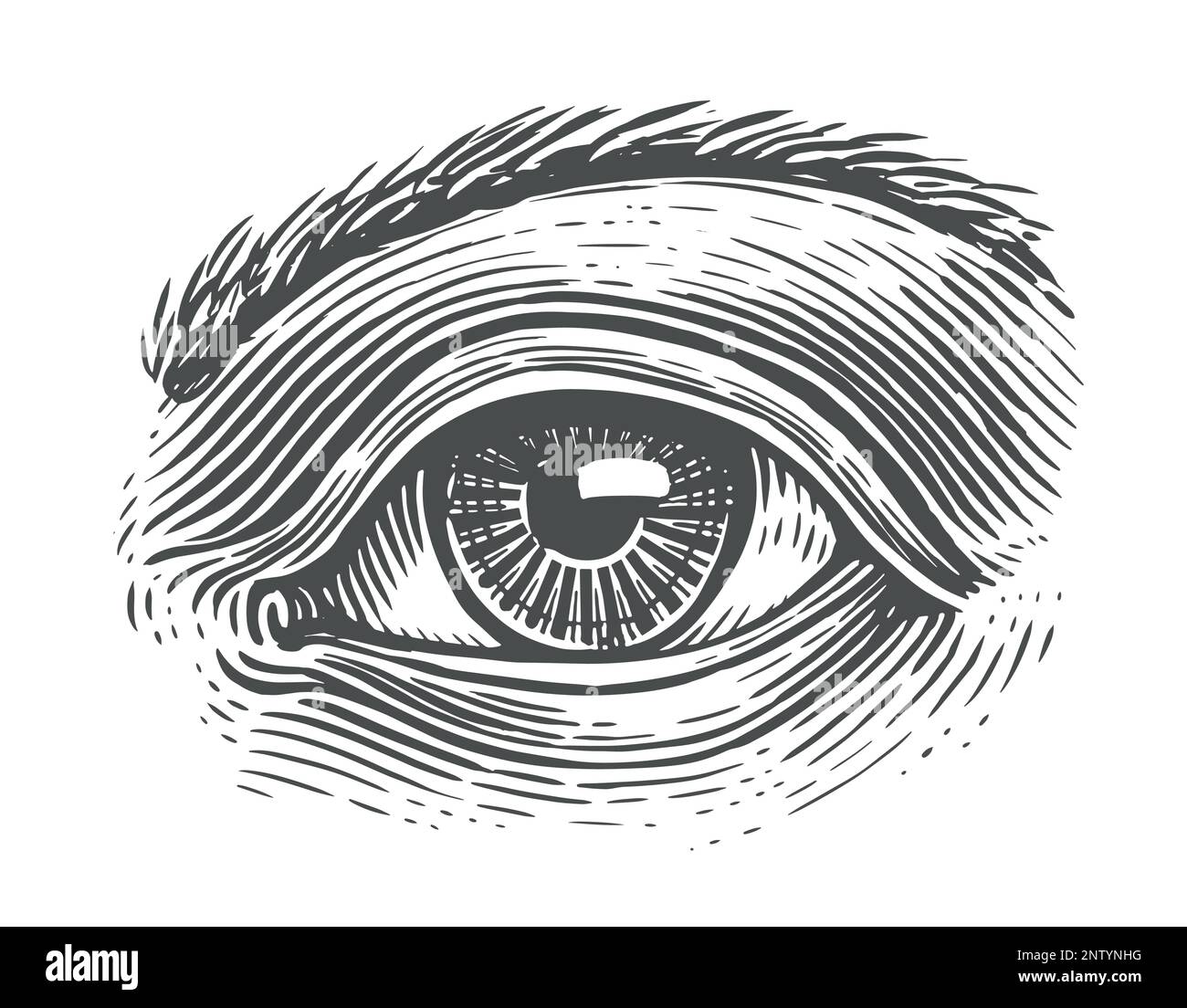 Menschliches Auge mit Gravur. Handgezeichnete Skizze - Vektordarstellung Stock Vektor