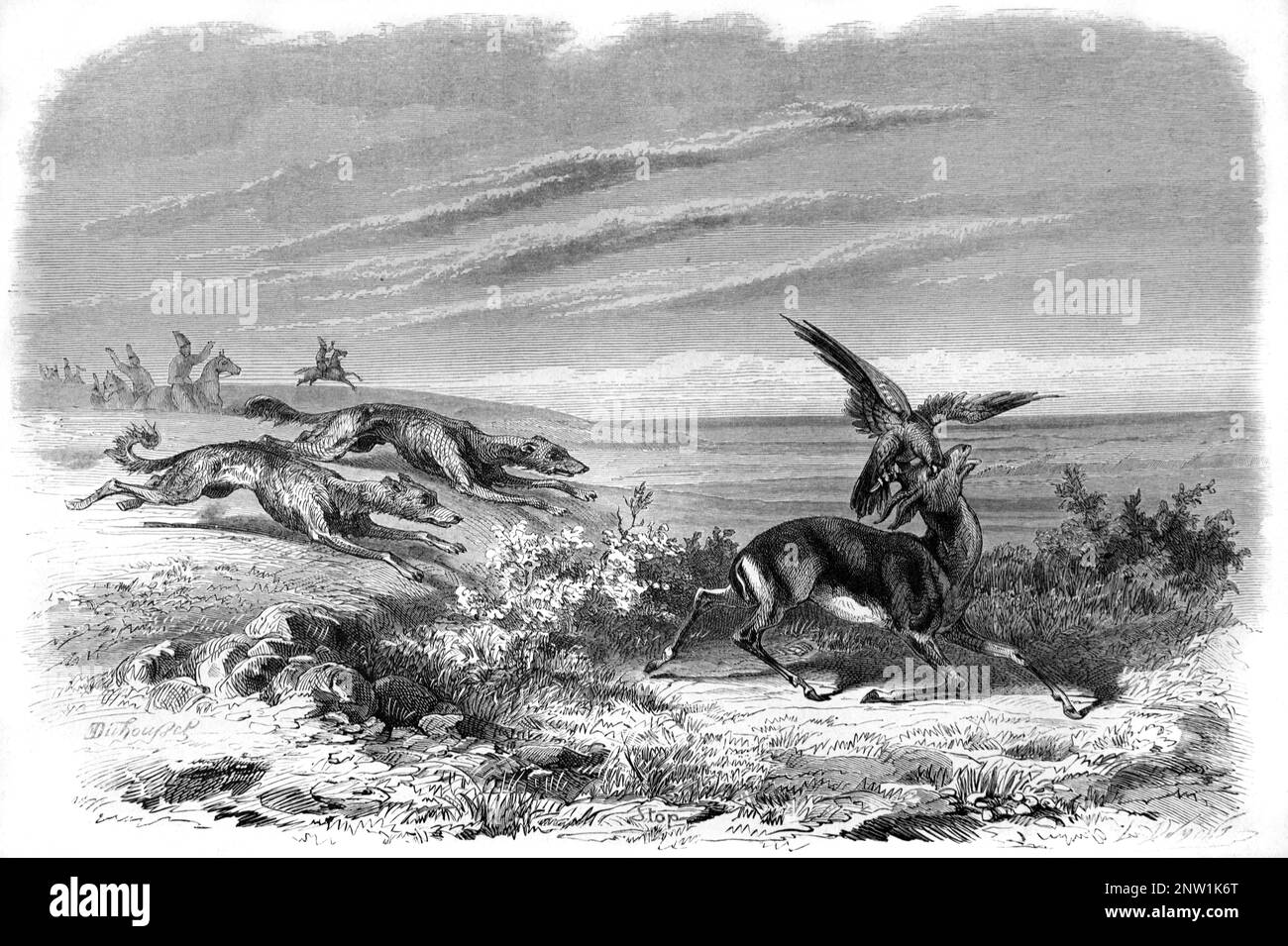 Gazelle mit Falken jagen oder Falconry mit Hundehunden in Persien, jetzt Iran. Vintage-Gravur oder Abbildung 1862 Stockfoto