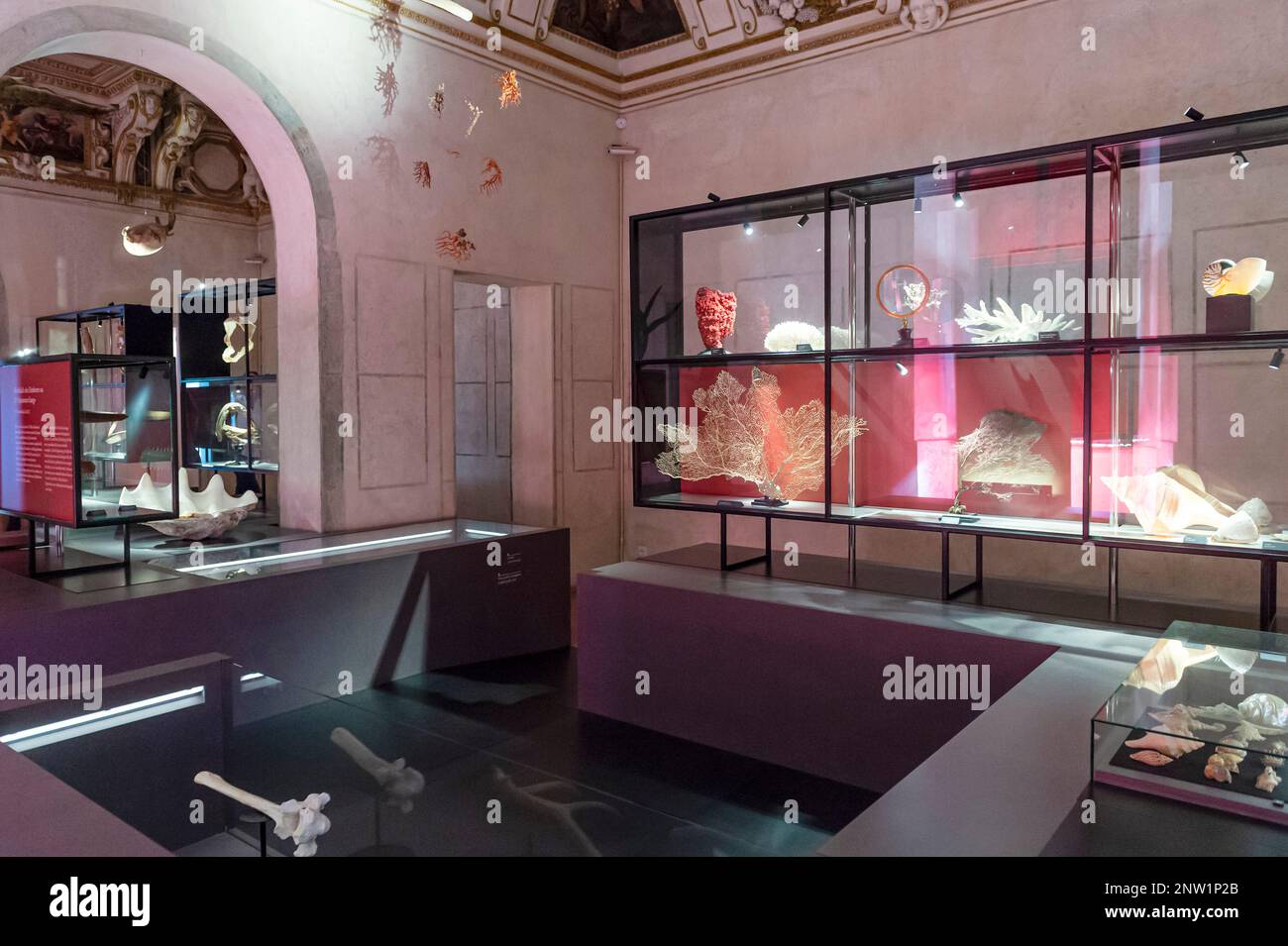 palazzo ducale, Ausstellung historischer Forschung und Sammlerstücke, mantua, italien Stockfoto