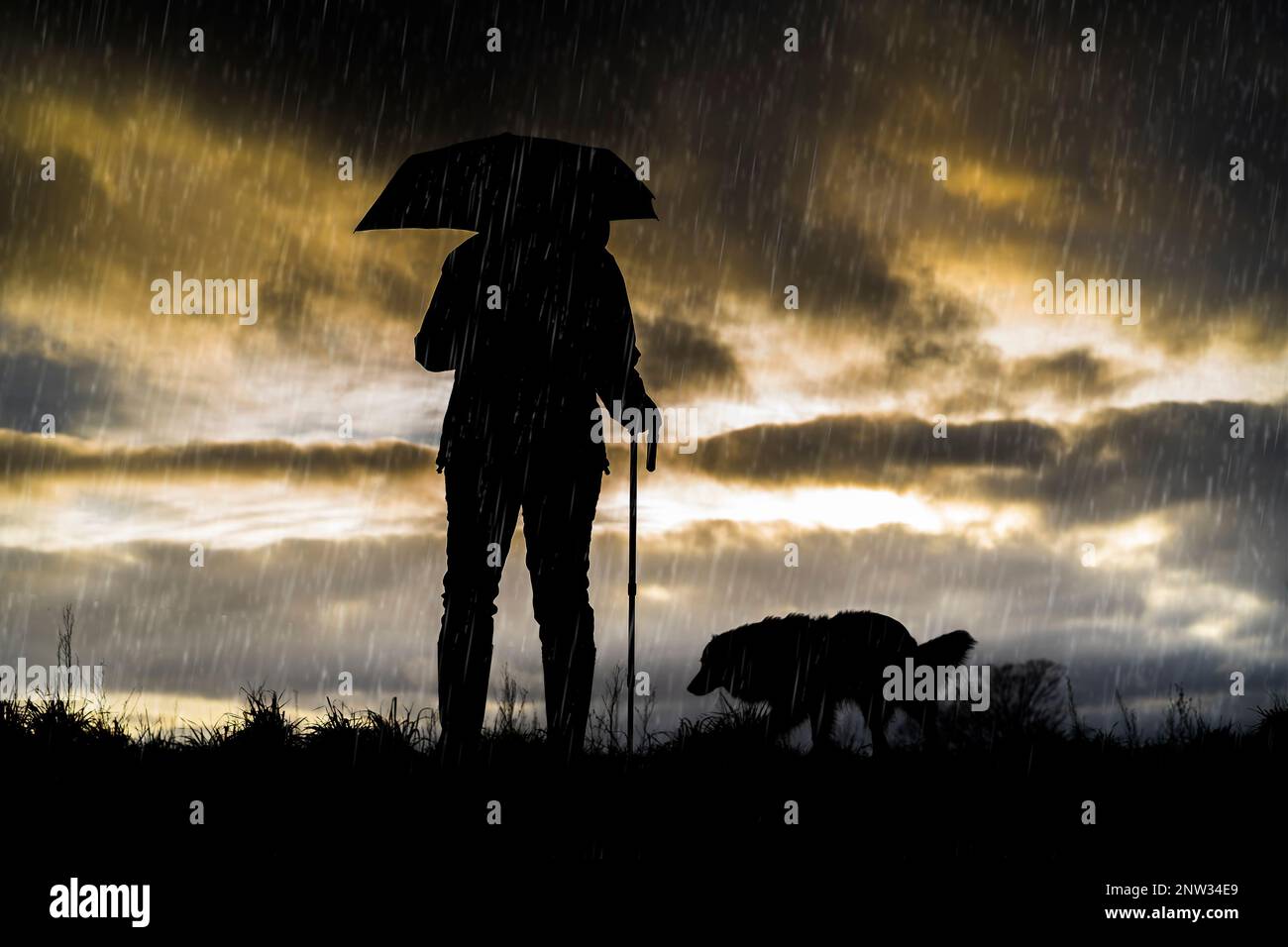 Die Silhouette einer Frau und ihres Hundes in der Rückansicht, die beim Regen einen Bordstein benutzt Stockfoto