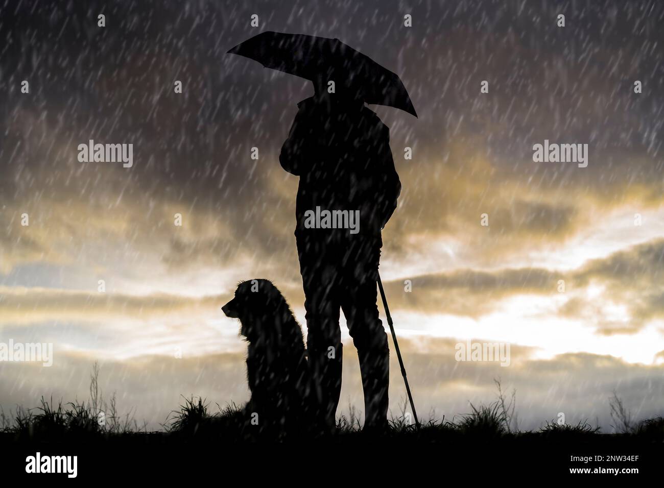 Eine Dame hält zusammen mit ihrem Hund einen Regenschirm am britischen Landhügel, beide in Silhouette vor dem Sonnenuntergang bei Abenddämmerung und beobachtet den strömenden Regen. Stockfoto