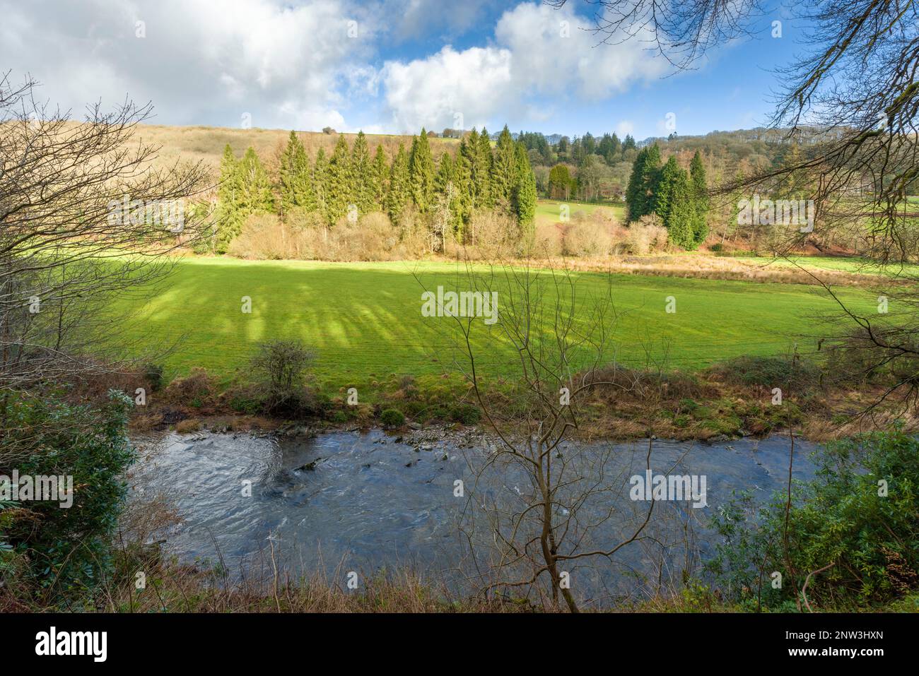 Der Fluss Barle am Syds Wood im Winter nahe Dulverton im Exmoor National Park, Somerset, England. Stockfoto