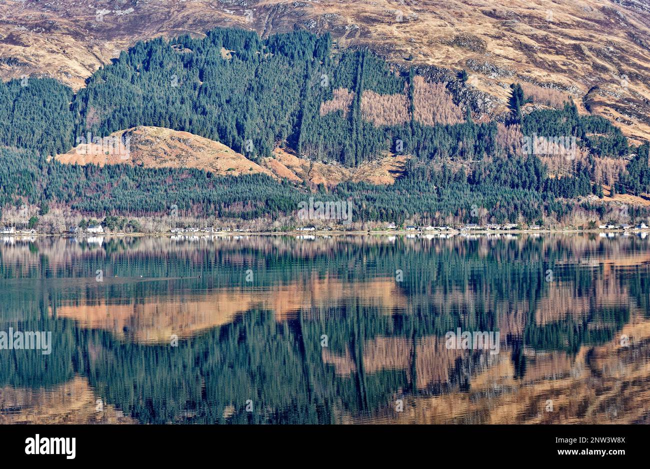 Loch Duich Westküste Schottland Shiel Bridge mit Blick über den See mit Reflexionen auf Hügel zu Häusern des Dorfes Inverinate Stockfoto