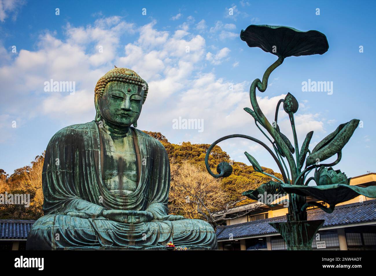 Der Daibutsu (bronze-großer Buddha). Kotoku-in Tempel, Kamakura, Japan Stockfoto