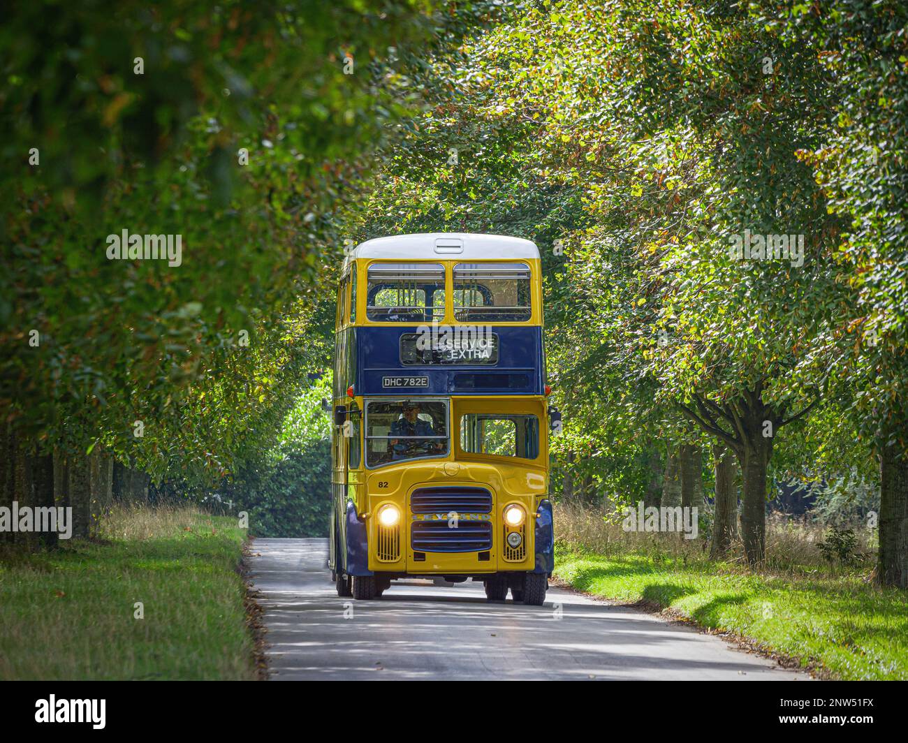 Der Bus fährt eine von Bäumen gesäumte Straße entlang auf dem Goodwood Estate 2022, West Sussex, großbritannien Stockfoto