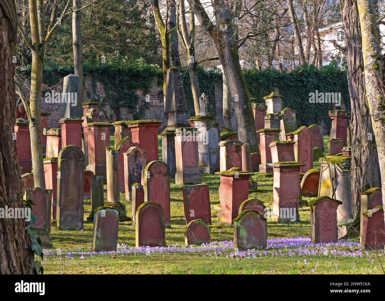 SHUM Alter jüdischer Friedhof, Judensand, Mombacher Straße. 61, 55122 Mainz, Rheinland-Pfalz, Deutschland Stockfoto