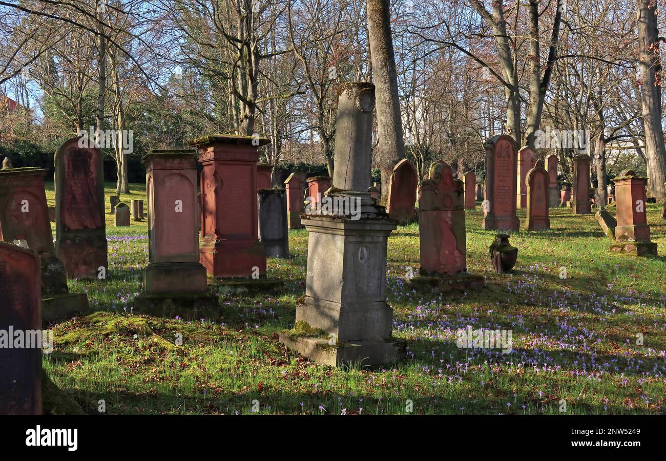 SHUM Alter jüdischer Friedhof, Judensand, Mombacher Straße. 61, 55122 Mainz, Rheinland-Pfalz, Deutschland Stockfoto