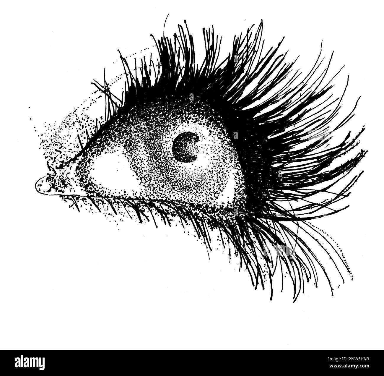 Abbildung eines weiblichen Auges, das in die Distanz starrt, handgezeichnet in Tinte. Hochauflösendes jpeg. Stockfoto