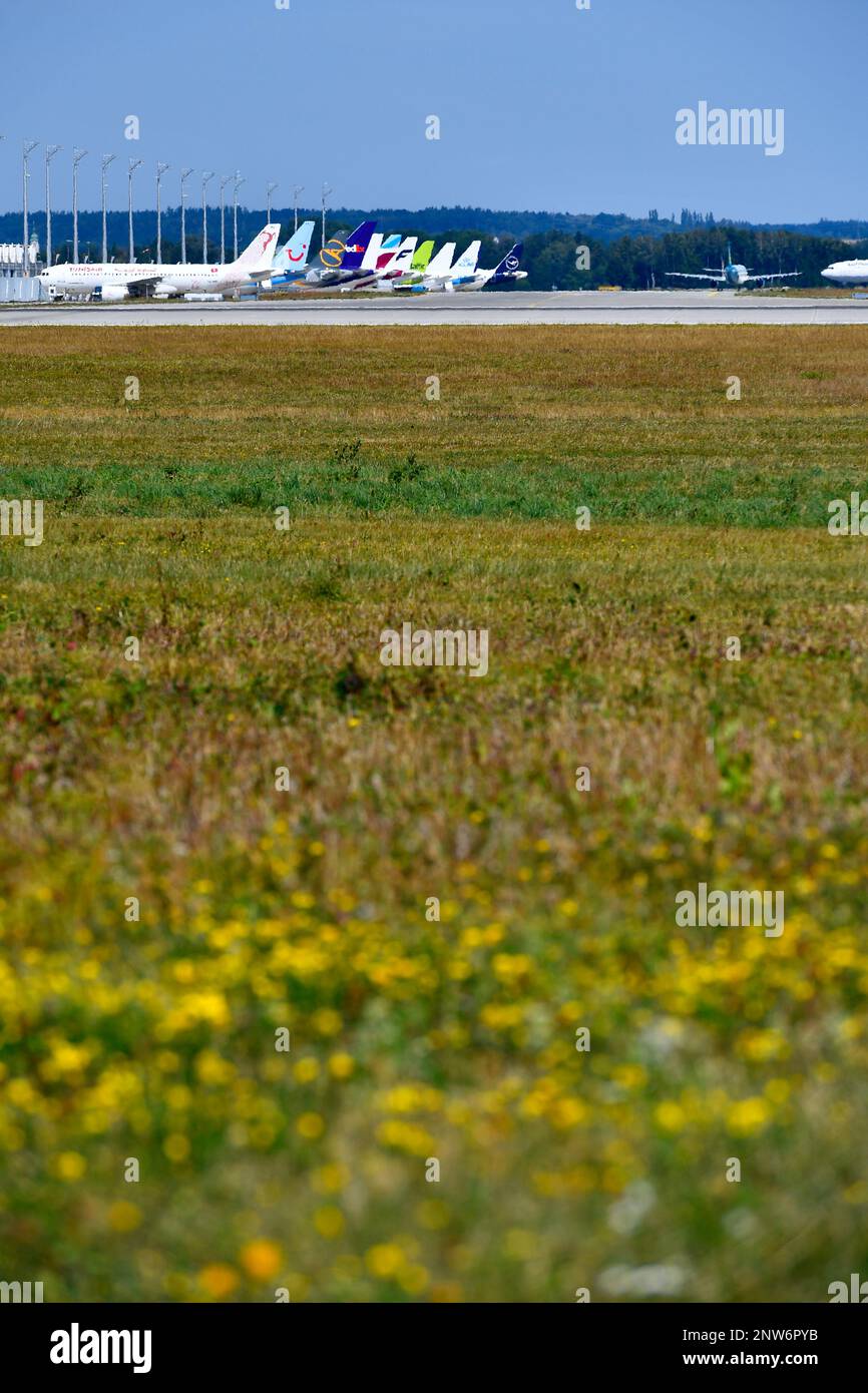 Aufstellen, Flugzeuge, Flugplatz West, Landebahn, Süd, Flugzeug, Grün, Feld, Aussicht, Flughafen München, Flughafen, Freising, Erding, München, Bayern, Deutschland Stockfoto