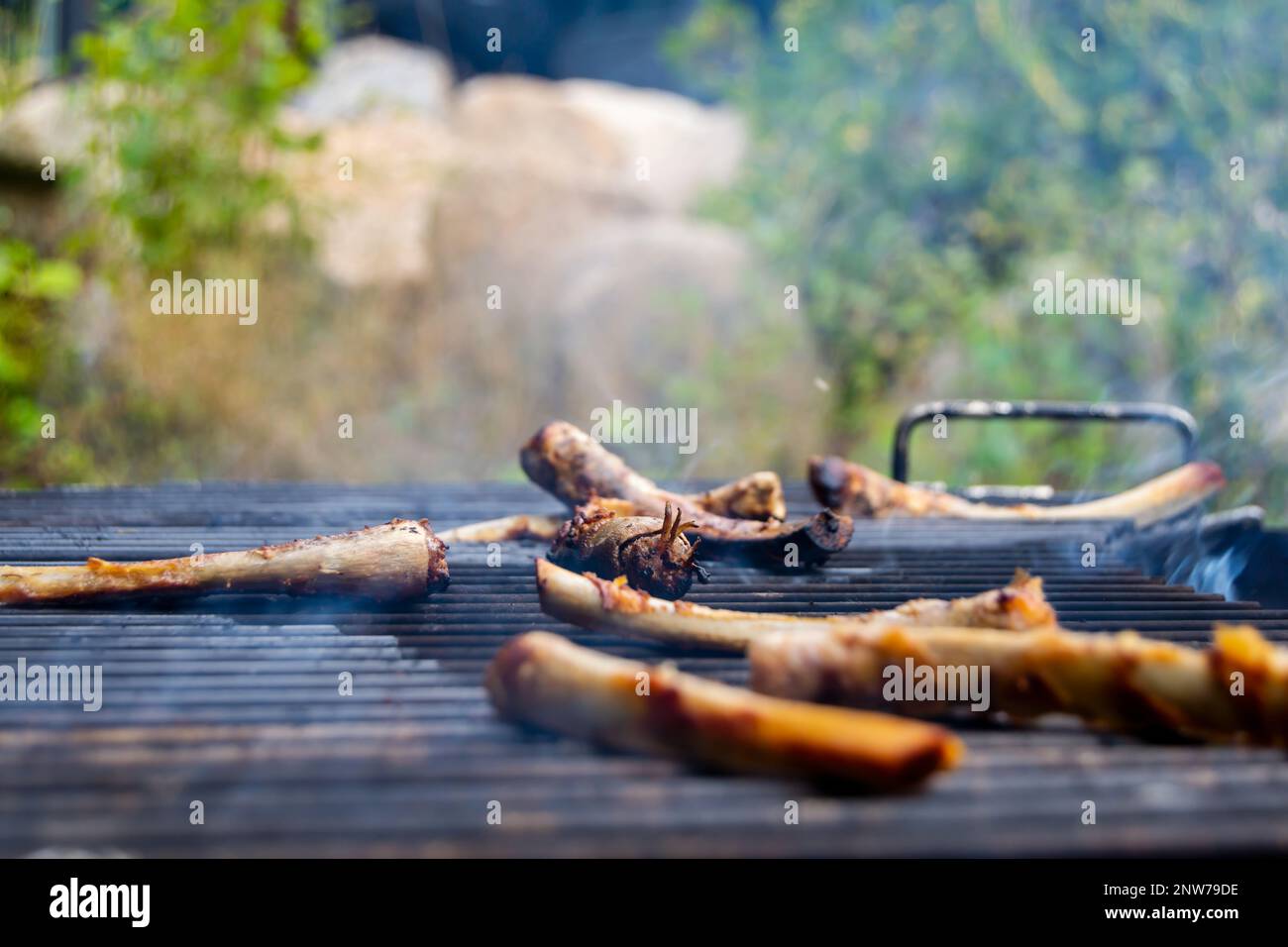 Knochen von Rippen auf einem runden offenen Feuerholzgrill. Feuerstelle im Freien mit Gitterrosten. Zubereitung und Kochen köstlicher Mahlzeiten im Freien. Smok Stockfoto