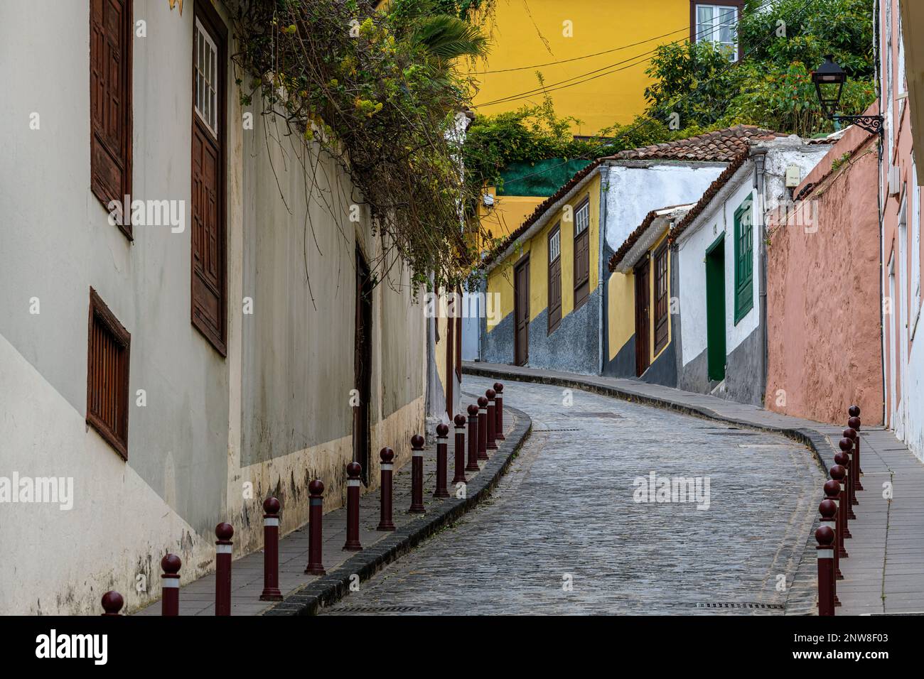 Die enge, gewundene Calle San Juan in La Orotave, Teneriffa, mit ihren Kopfsteinpflastern, farbenfrohen Gebäuden und grüner Vegetation. Stockfoto