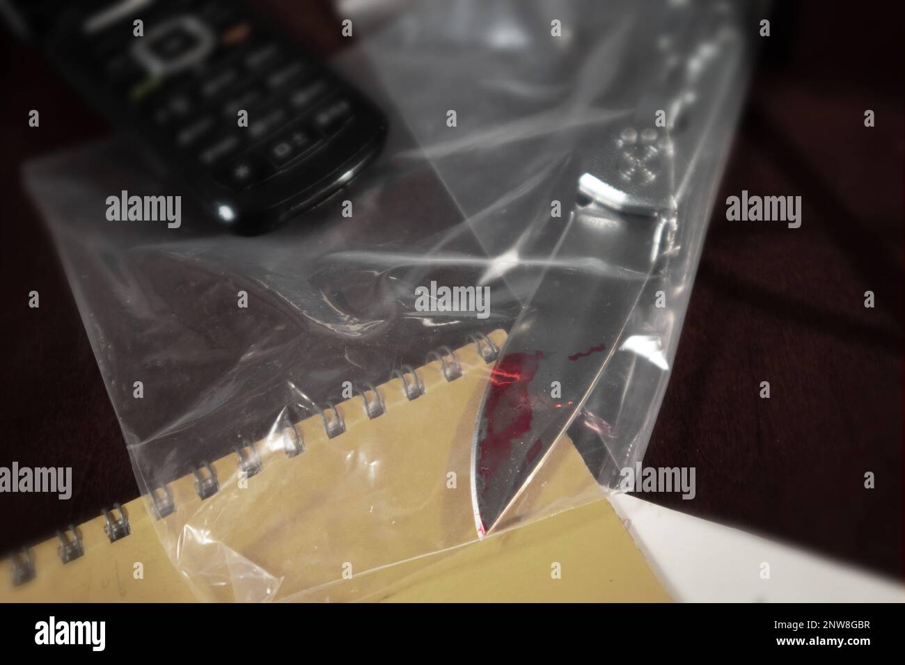 Ein mit Blut beflecktes Bleimesser in einem durchsichtigen Plastikbeutel. Beweismaterial der Justiz Stockfoto