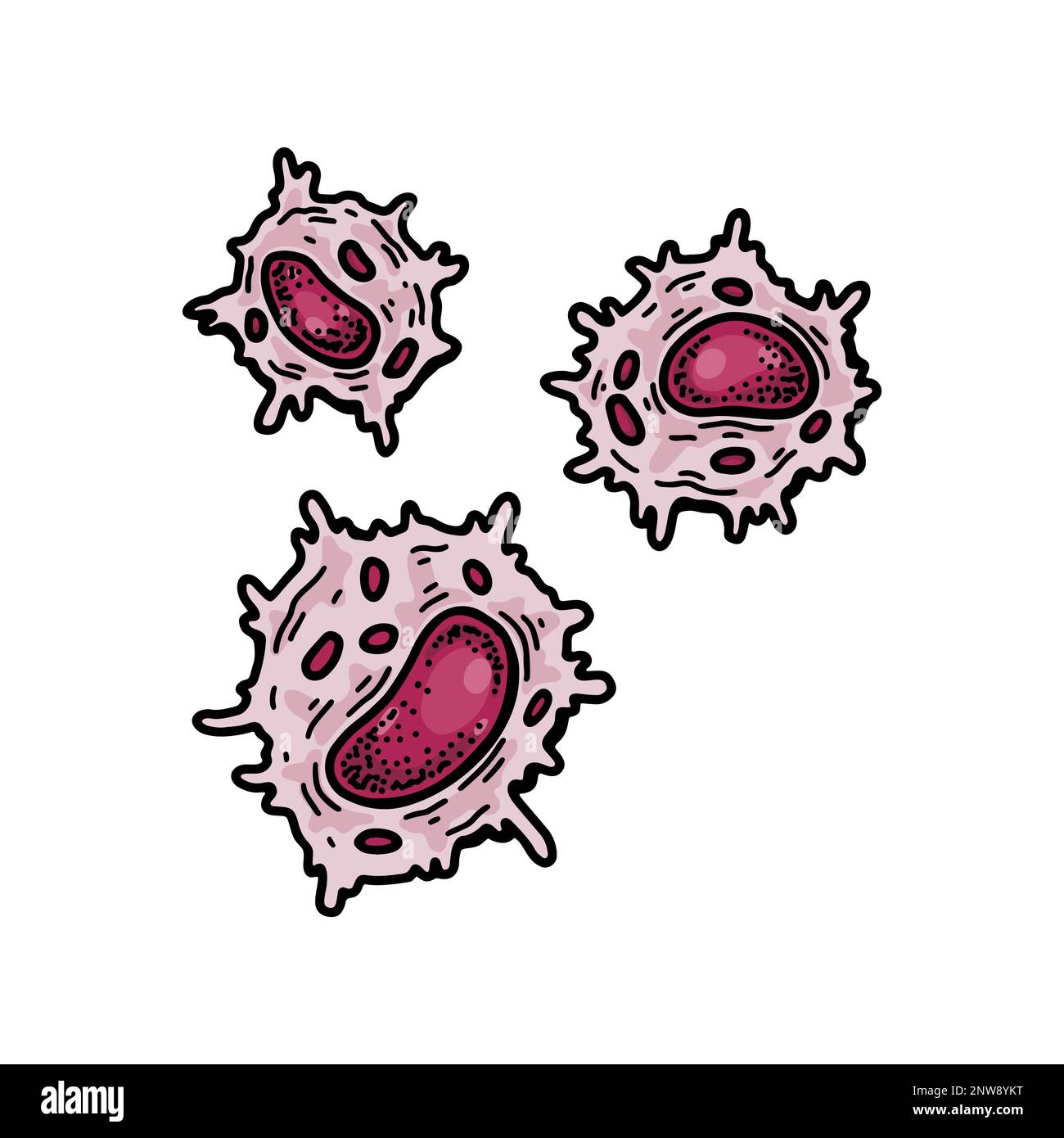 Natürliche Killerzelle isoliert auf weißem Hintergrund. Handgezeichnete mikrobiologische Vektordarstellung im Skizzenstil. Adaptives Immunsystem Stock Vektor