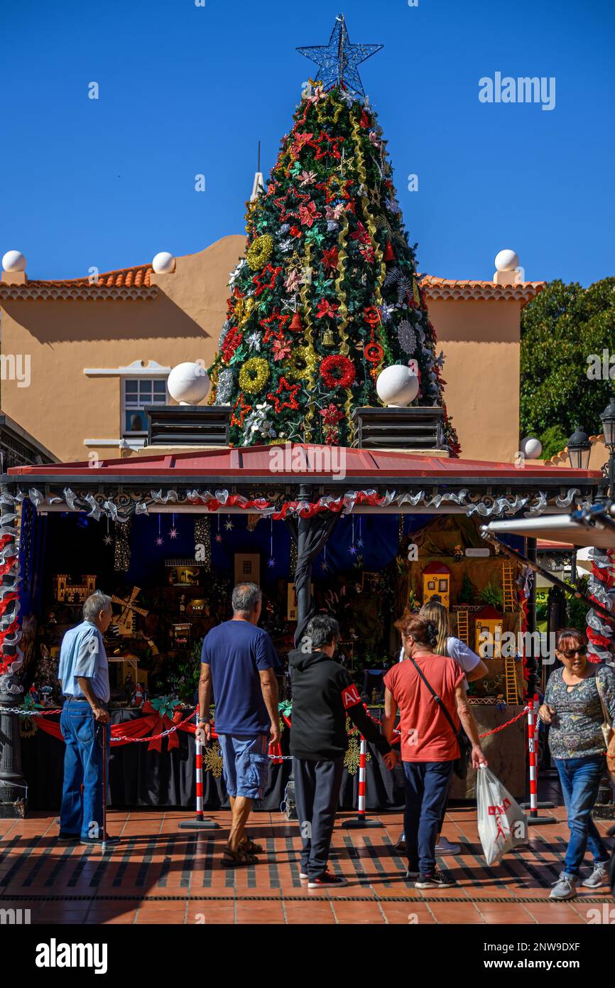 Ein großer Weihnachtsbaum ziert einen saisonalen Stand auf dem Mercado de Nuestra Senora de Africa Market in Santa Cruz de Tenerife. Stockfoto