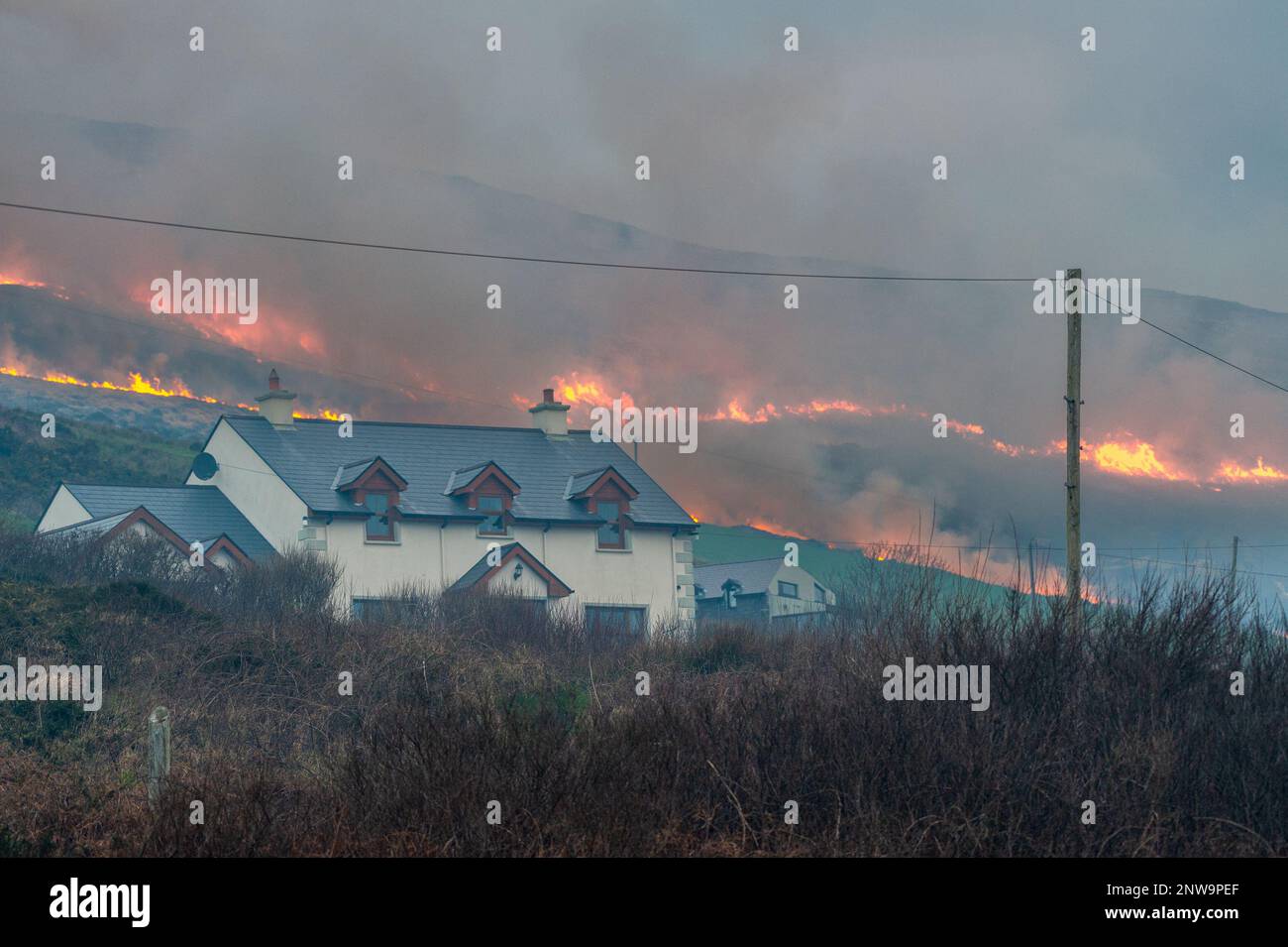 Goleen, West Cork, Irland. 28. Februar 2023. Ein Riesenfeuer brennt außer Kontrolle, gefährlich nahe an einem Haus auf einem Berg über Goleen in West Cork heute Abend. Ab morgen ist es illegal, Vegetation bis zum 1. September zu verbrennen. Das Verbrennen der Vegetation wird durch die Wildlife Acts kontrolliert. Kredit: AG News/Alamy Live News Stockfoto