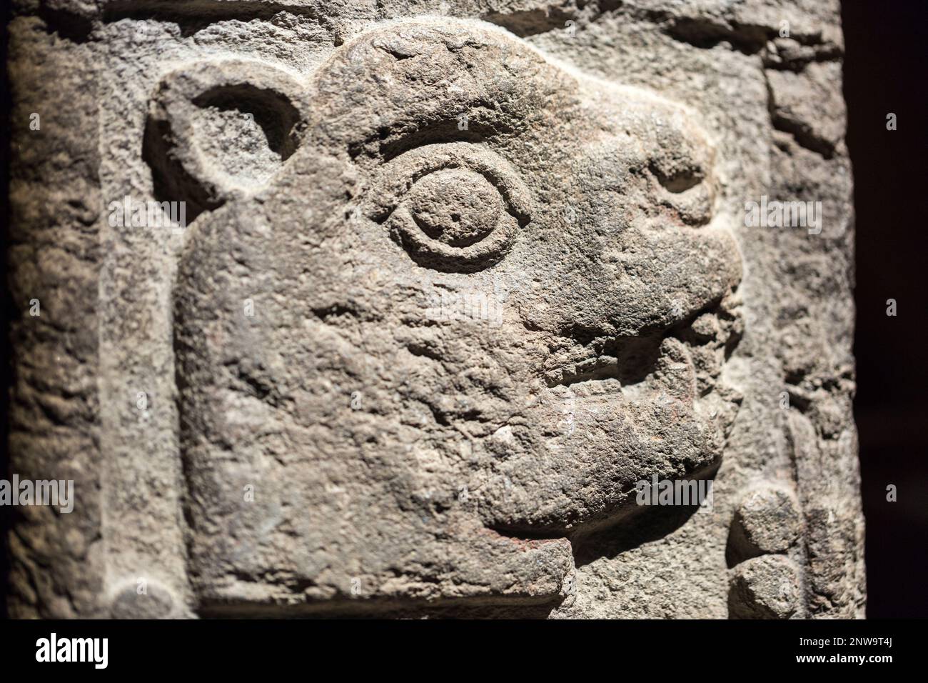 Ein Steinblock mit Relief aus der mexikanischen Kultur mit dem Datum „13 Jaguar“, einem der Tage des 260-tägigen rituellen Kalenders Tonalpohualli. Stockfoto