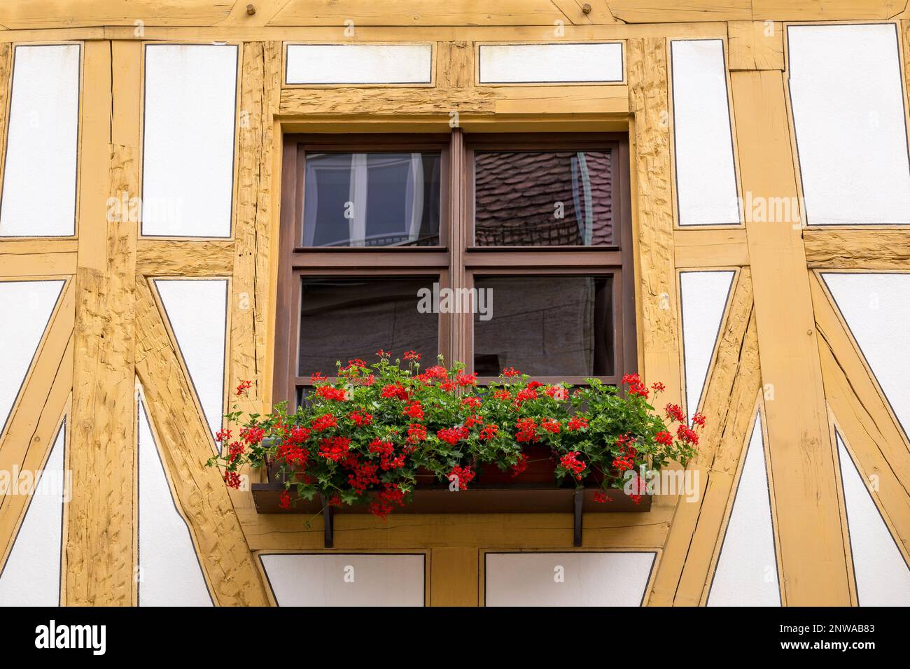 Fenster mit roter Blumendekoration. Details von Halbholzarbeiten an der Fassade eines weiß-gelben Holzgebäudes in der deutschen Stadt Nürnberg Stockfoto