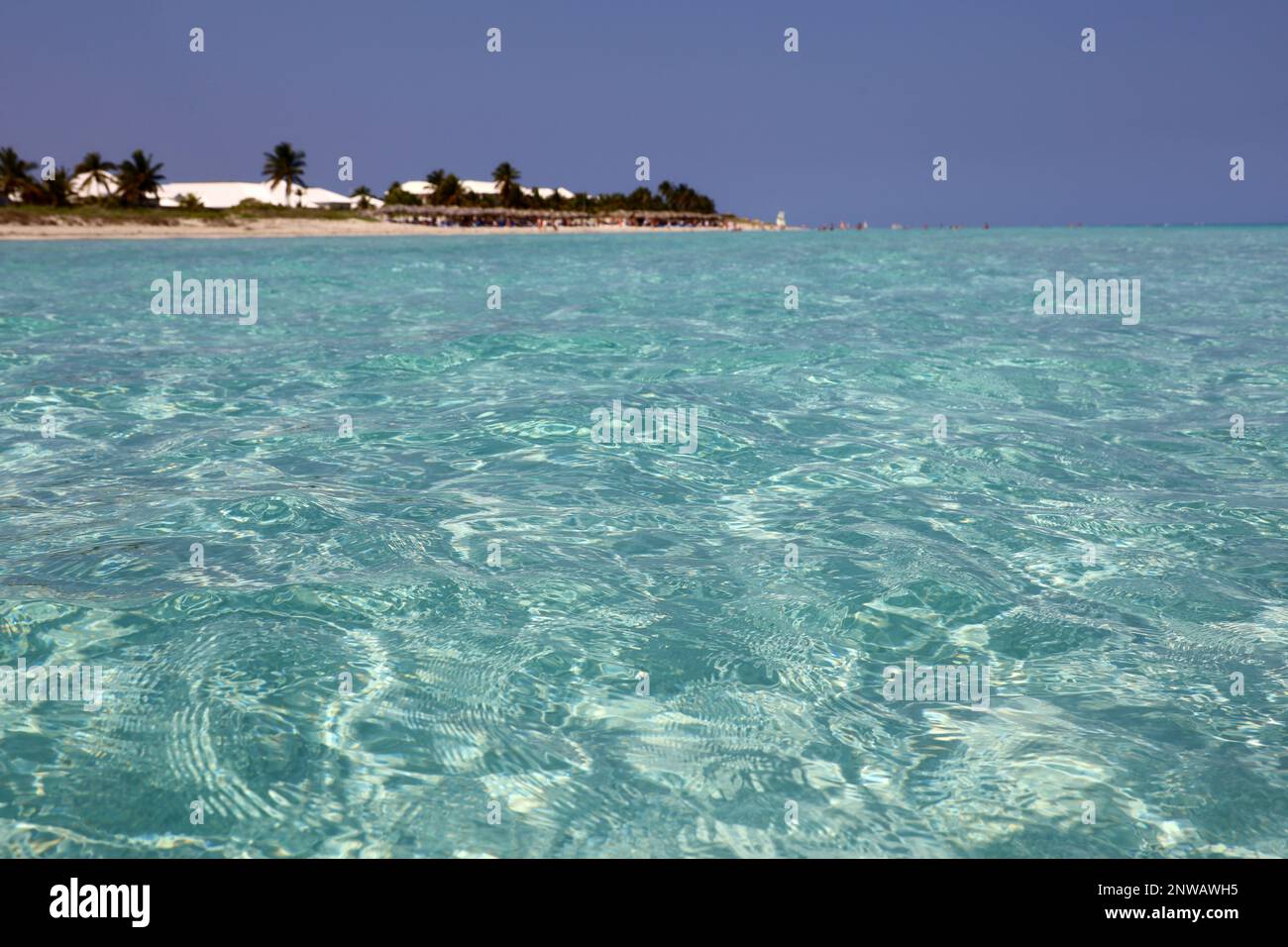 Unschärfe-Blick von der Wasseroberfläche bis zum tropischen Strand und Kokospalmen. Seebad auf karibischer Insel mit transparentem Wasser Stockfoto