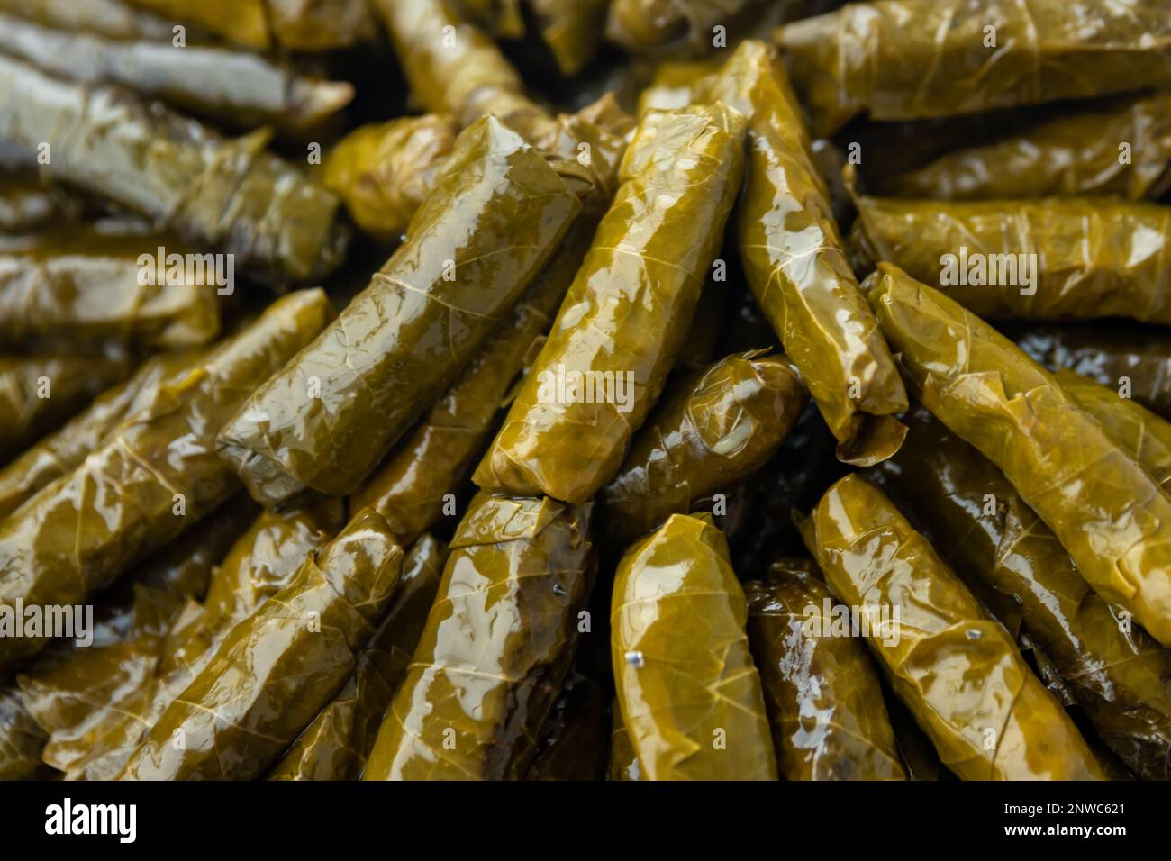 Traditionell köstliche türkische Speisen, gefüllte Blätter, traditionelles türkisches Gericht aus Reis, umhüllt mit Traubenblättern, Draufsicht. Hochwertiges Foto Stockfoto