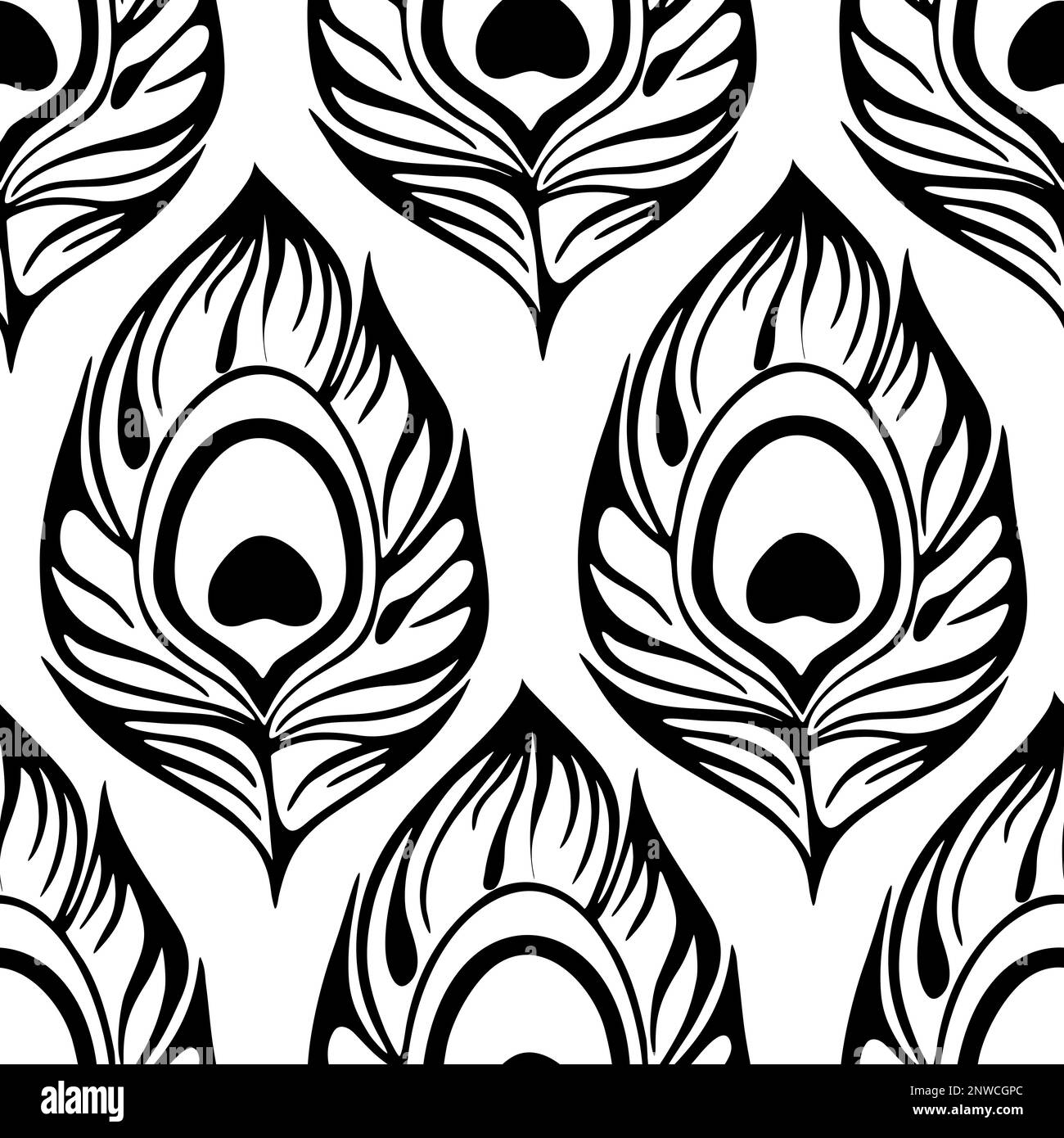 Nahtloses Konturmuster aus schwarzen Pfauenfedern auf weißem Hintergrund, Textur, Design Stockfoto