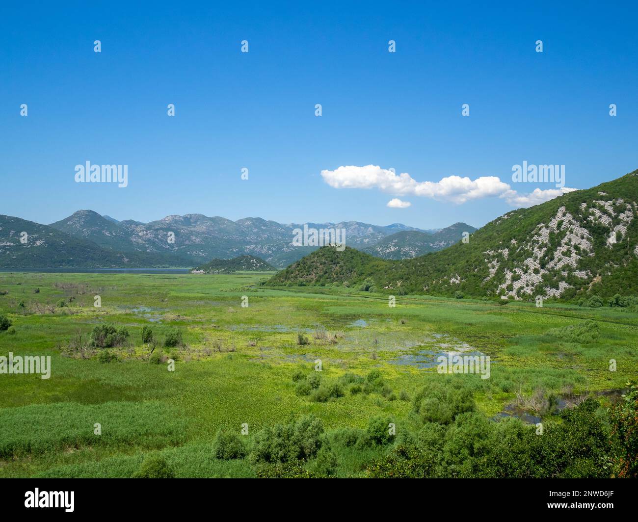 Skadarsee von der Klosterinsel Kom, Montenegro aus gesehen Stockfoto