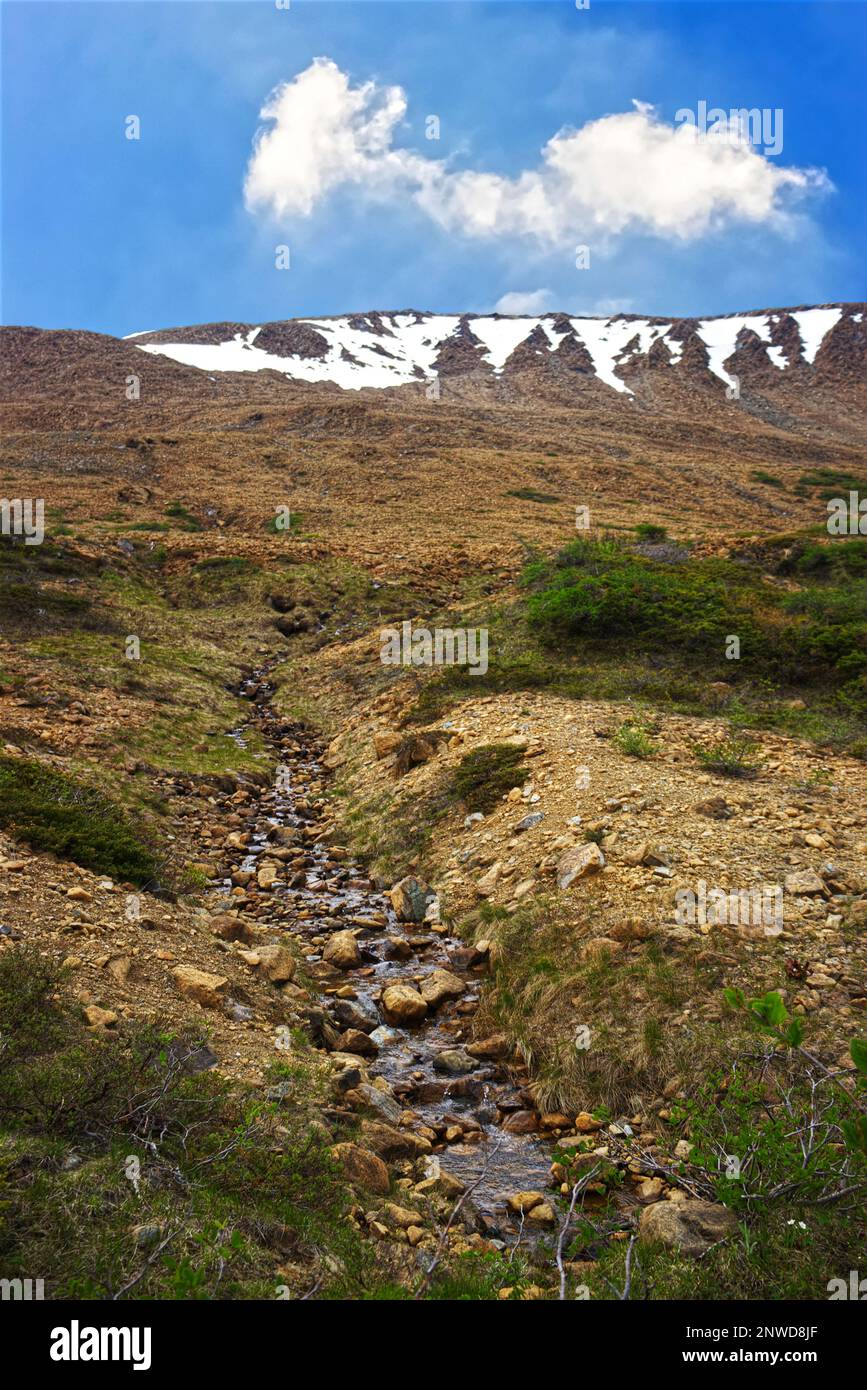 Tafelberge - Mantle aus nächster Nähe, Gros Morne National Park, Neufundland, Kanada Stockfoto