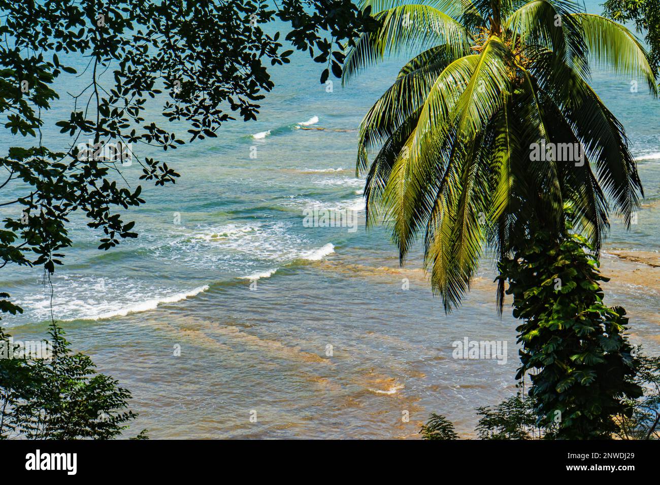 Küstenlandschaft am Strand im Manuel Antonio Nationalpark Stockfoto