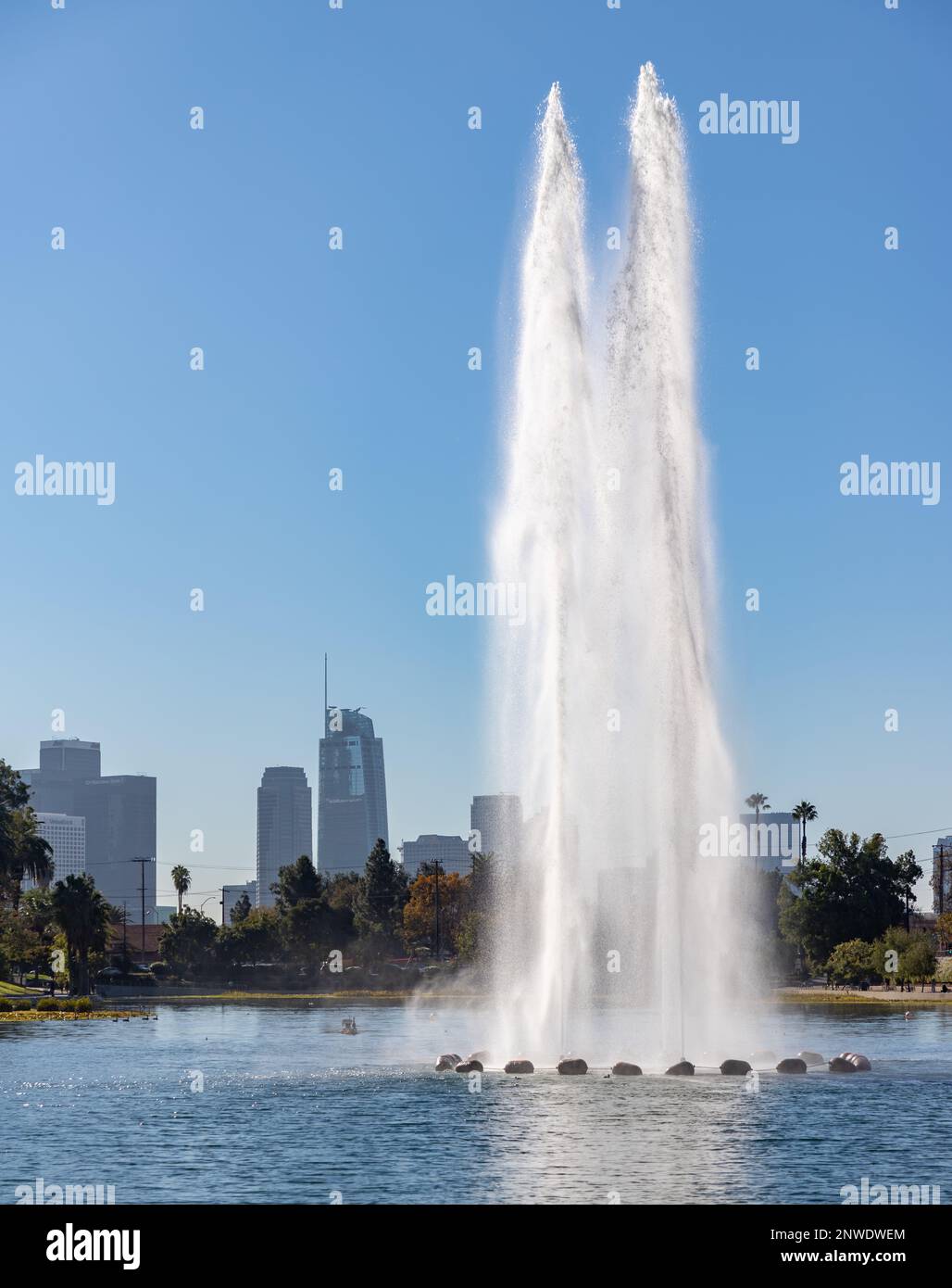 Ein Bild des Echo Park Lake und seiner geiserschießen von der Mitte, mit Downtown Los Angeles hinten. Stockfoto