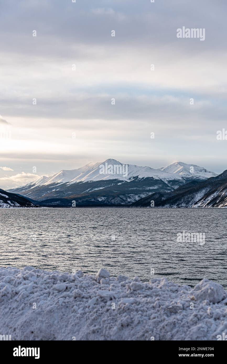 Der Banff National Park im Winter bietet im November eine schneebedeckte Landschaft in den Kanadischen Rocky Mountains. Stockfoto