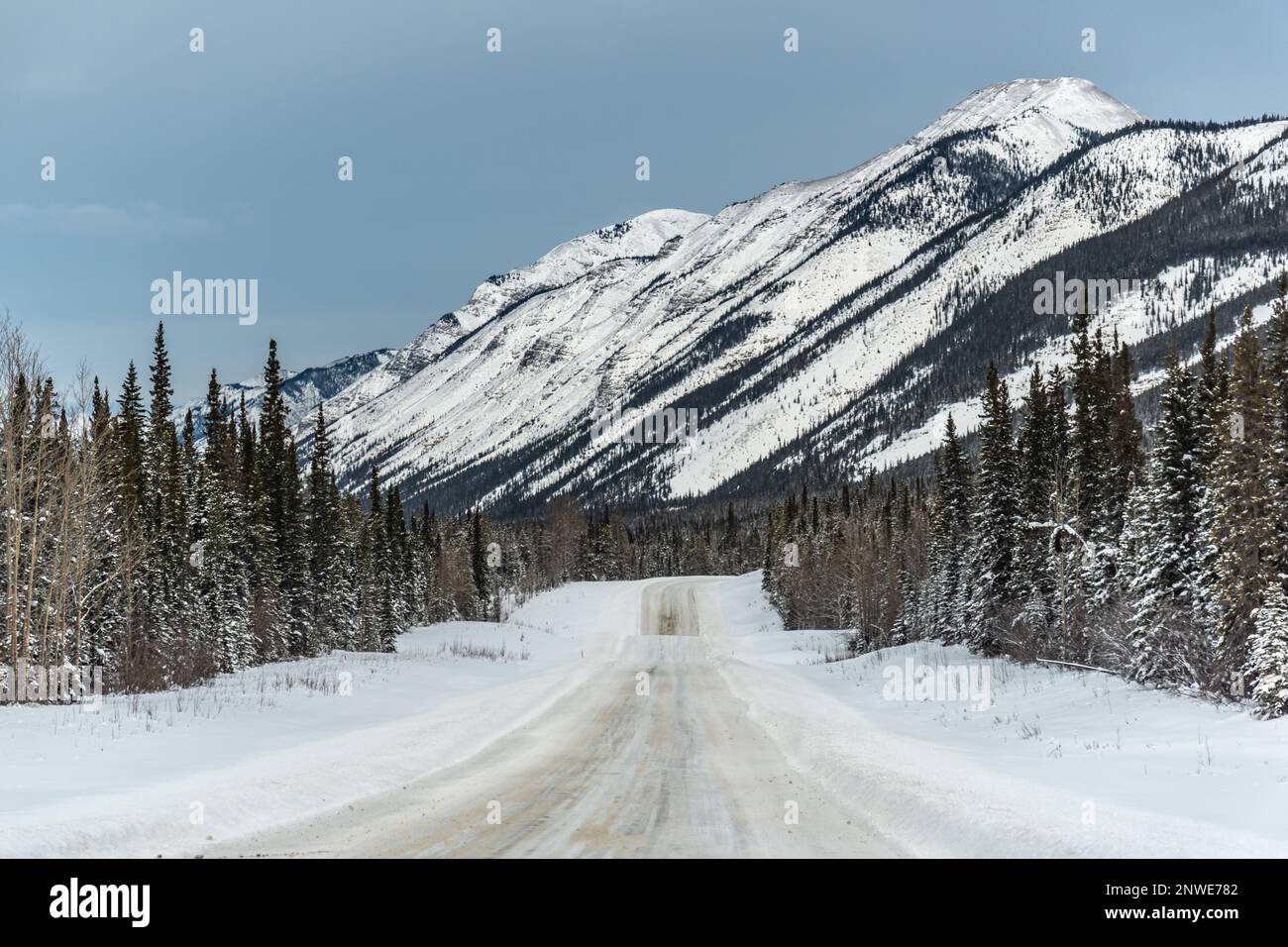 Der Banff National Park im Winter bietet im November eine schneebedeckte Landschaft in den Kanadischen Rocky Mountains. Stockfoto