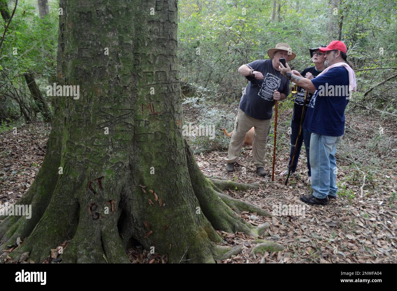 Lynyrd Skynyrd Fans Stand Next To A Gum Tree That Serves As A Makeshift lynyrd-skynyrd-fans-stand-next-to-a-gum-tree-that-serves-as-a-makeshift