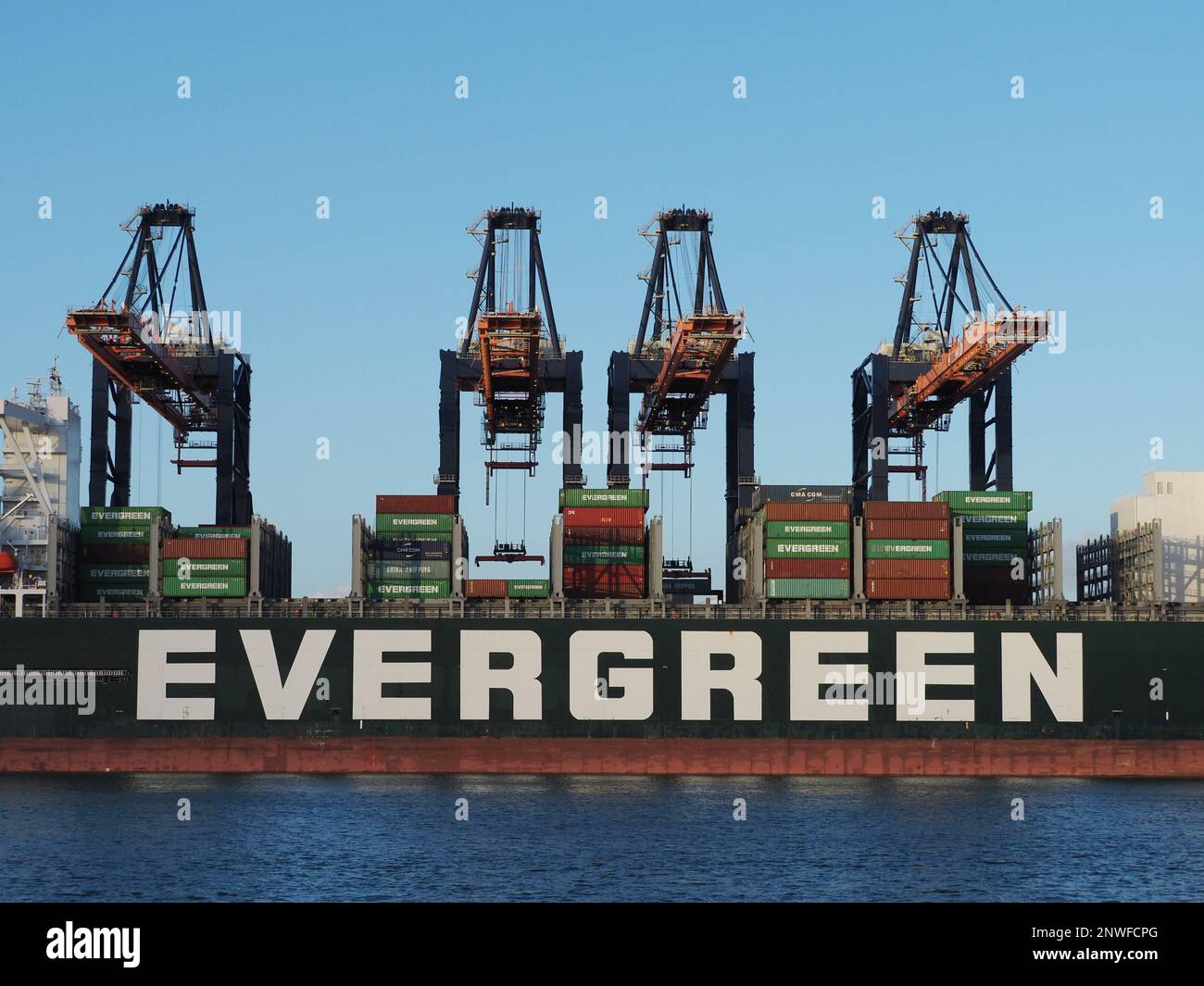 Evergreen Firmenlogo auf der Seite des „Ever Gifted“ im Hafen von Rotterdam, Niederlande Stockfoto