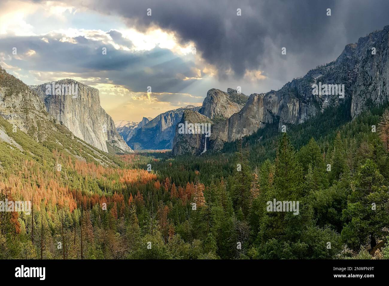 Yosemite Valley in Kalifornien, Nationalpark an einem atemberaubenden Tag im Herbst. Stockfoto