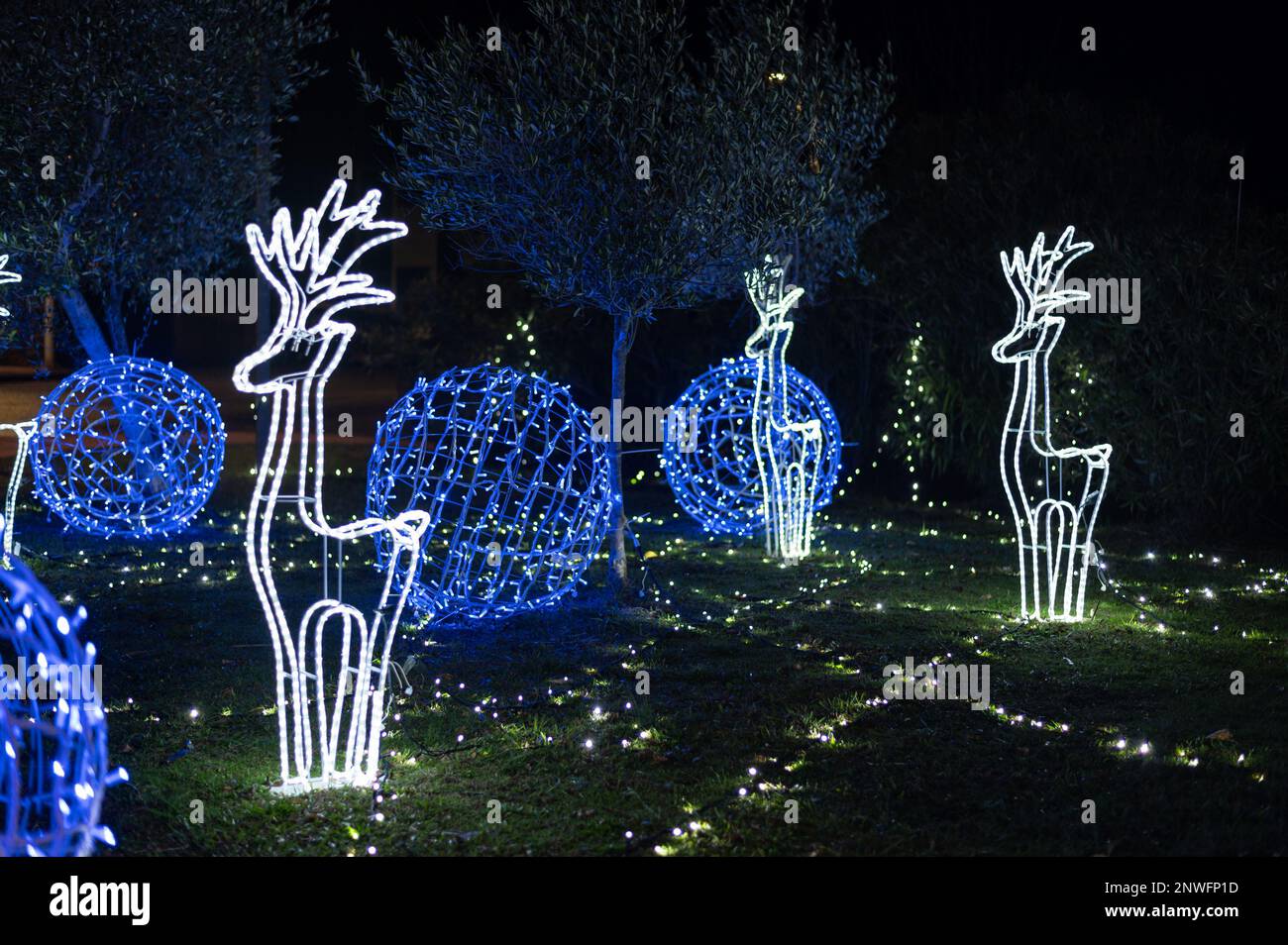Décorations lumineuses de Noël, rennes Blancs et boules bleues sur un Tapis d'Herbe Stockfoto